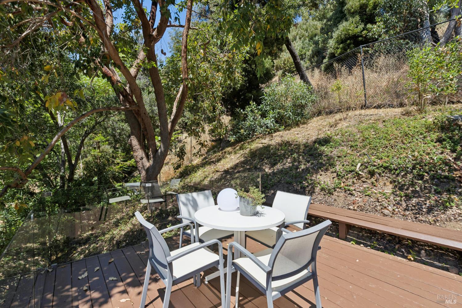 335 Highland Avenue San Rafael, CA 94901 - Photo 86 of 98