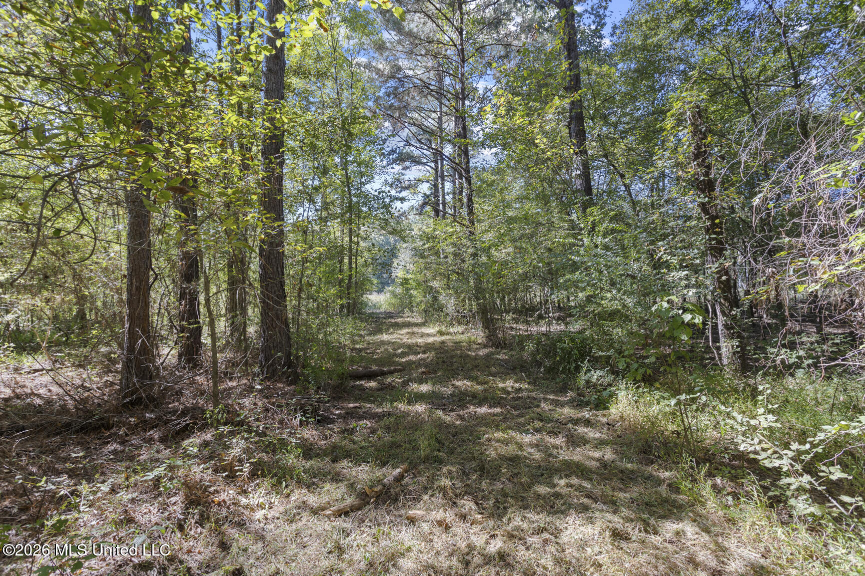 Undisclosed Address Camden, MS 39045 - Photo 121 of 124 279 Rocky Hill Rd-53