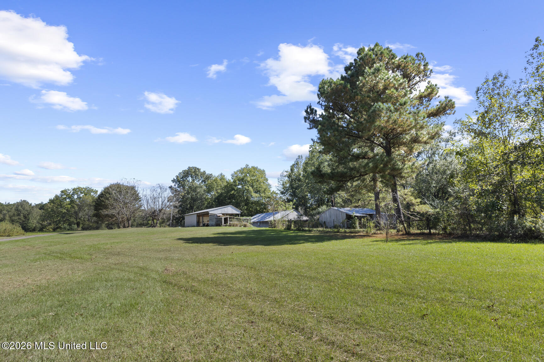 Undisclosed Address Camden, MS 39045 - Photo 97 of 124 279 Rocky Hill Rd-35