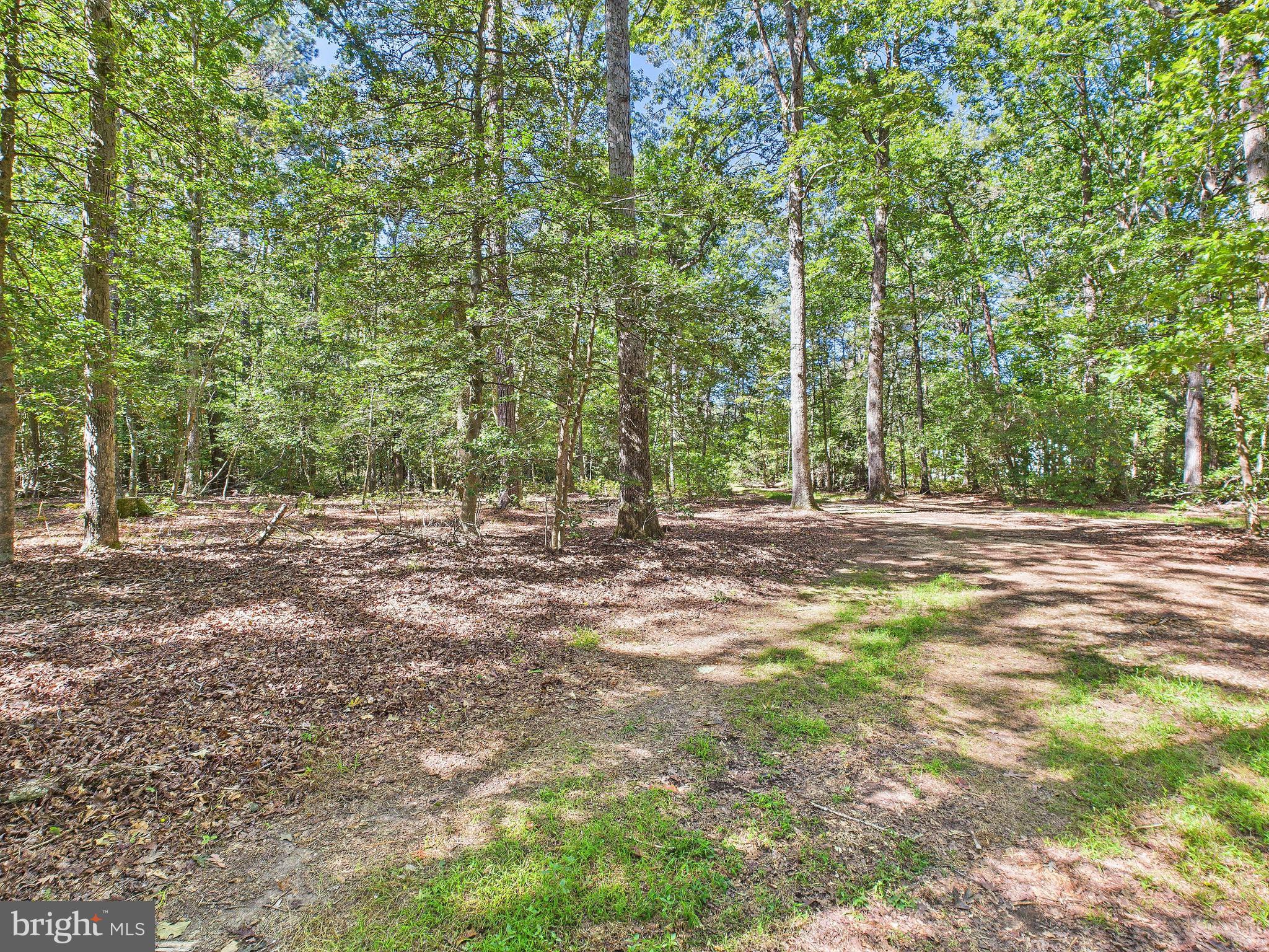 11330 Holly Springs Road Nanjemoy, MD 20662 - Photo 38 of 42 a view of outdoor space with trees
