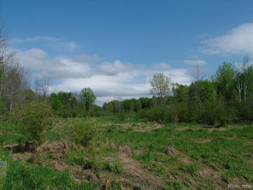 5950 Hasslick Road North Branch, MI 48461 - Photo 9 of 9 DSCF4469