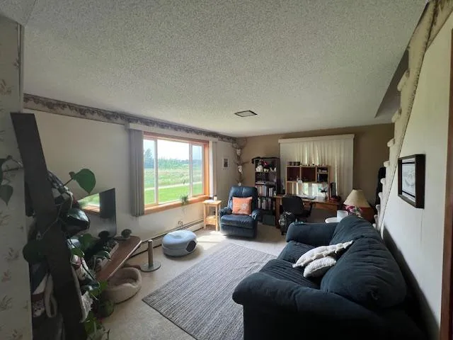 $249,000 | 34326 Co Highway 67, New York Mills, MN 56567