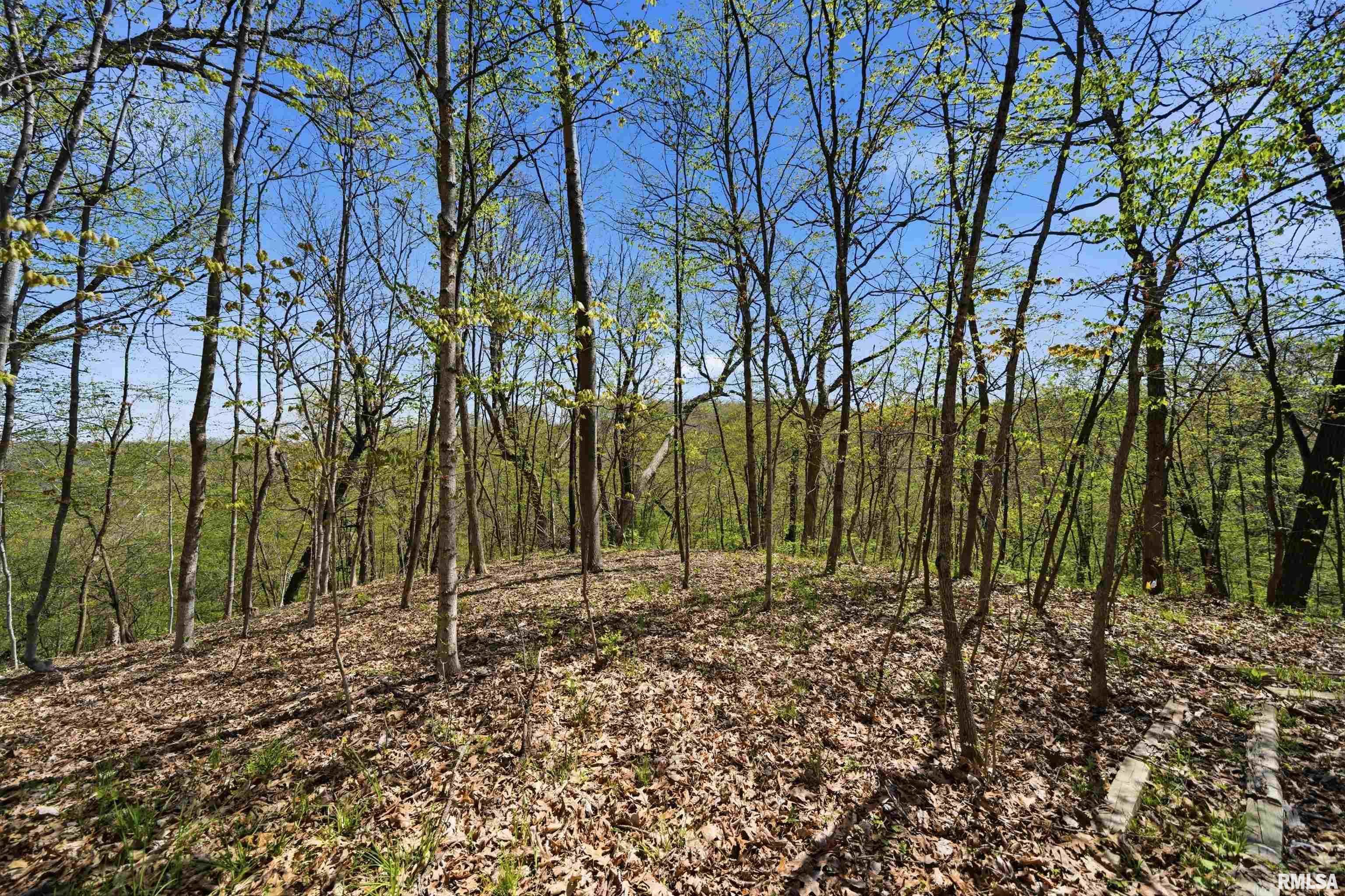 658 Coon Creek Road Metamora, IL 61548 - Photo 57 of 73