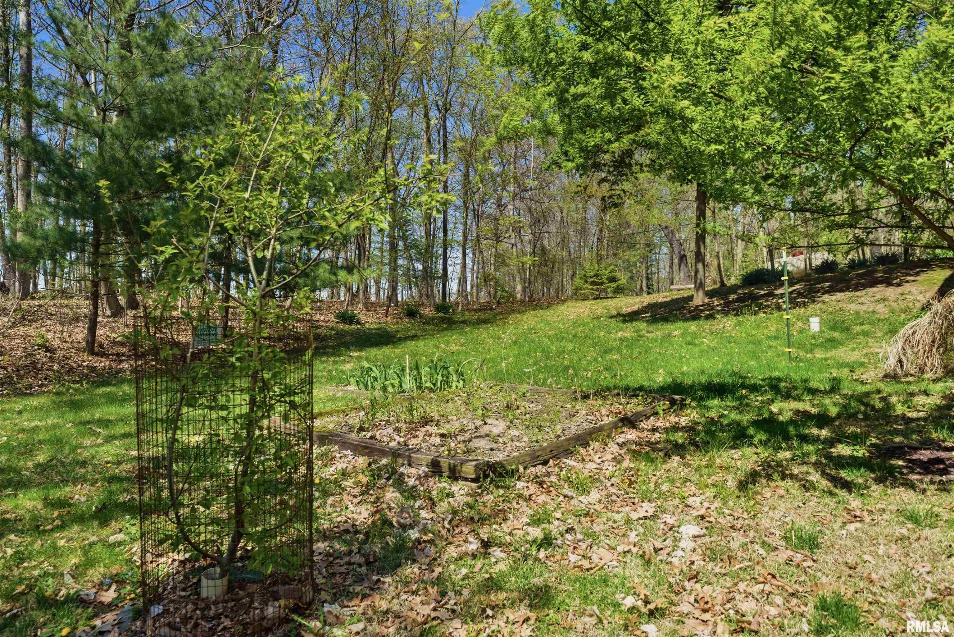 658 Coon Creek Road Metamora, IL 61548 - Photo 58 of 73