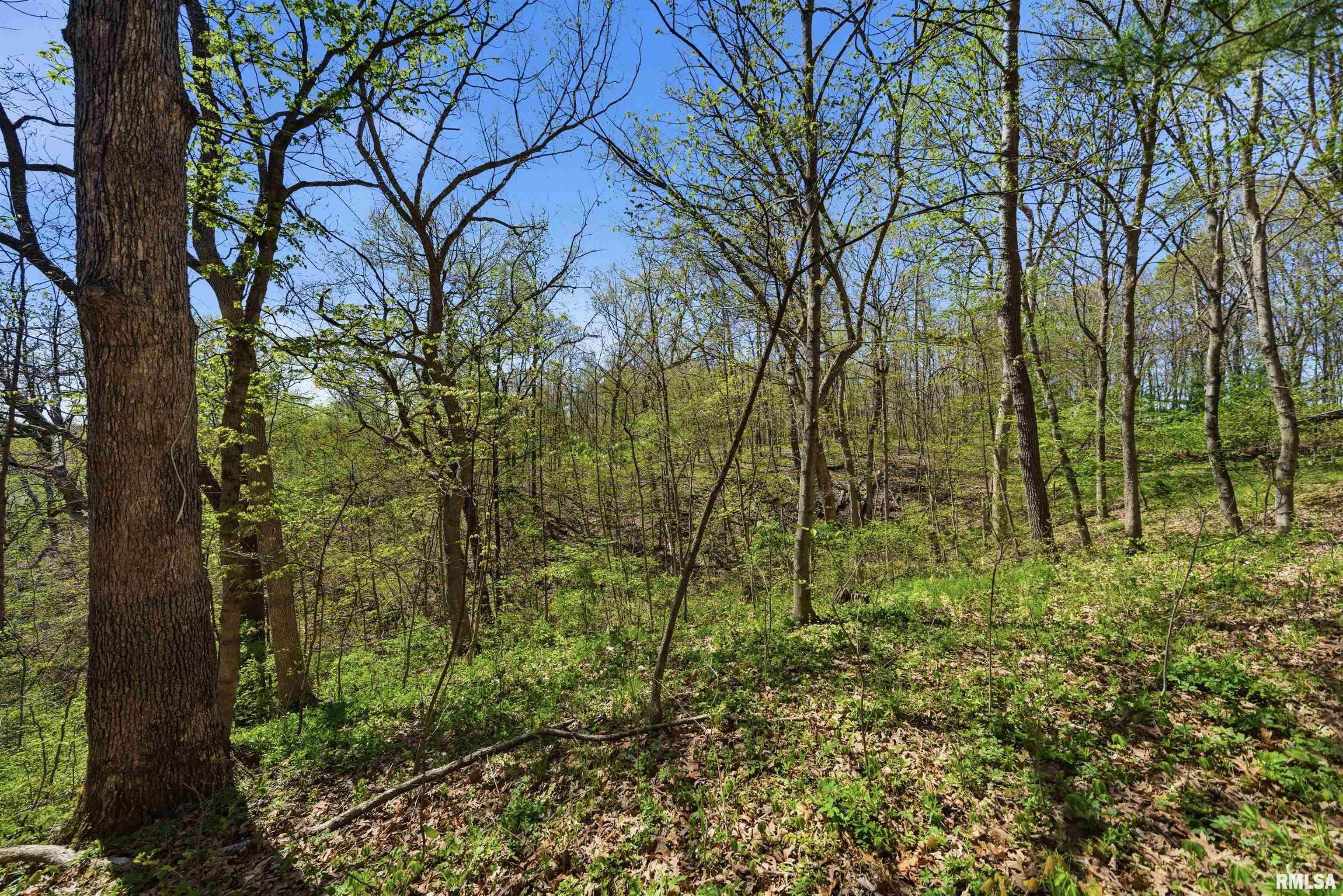 658 Coon Creek Road Metamora, IL 61548 - Photo 60 of 73