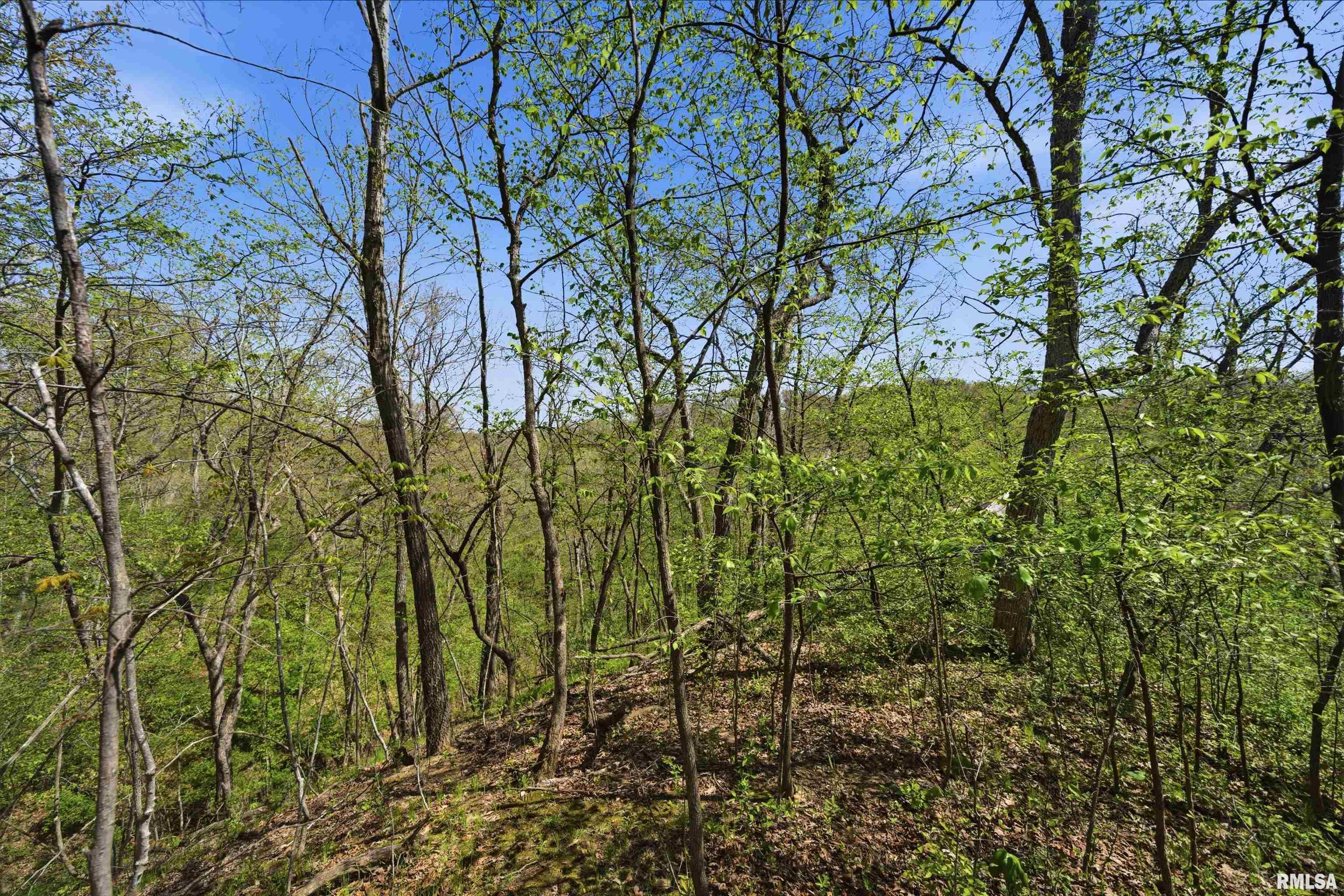 658 Coon Creek Road Metamora, IL 61548 - Photo 61 of 73