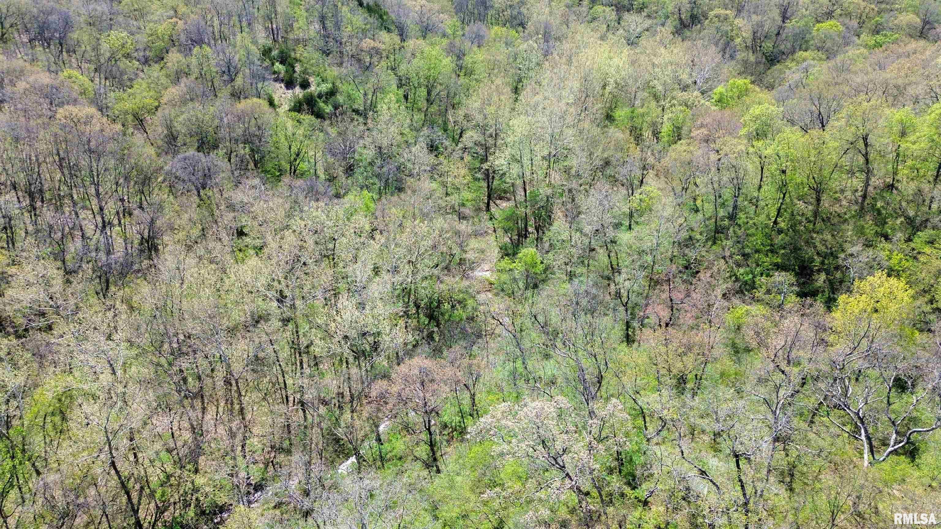 658 Coon Creek Road Metamora, IL 61548 - Photo 71 of 73