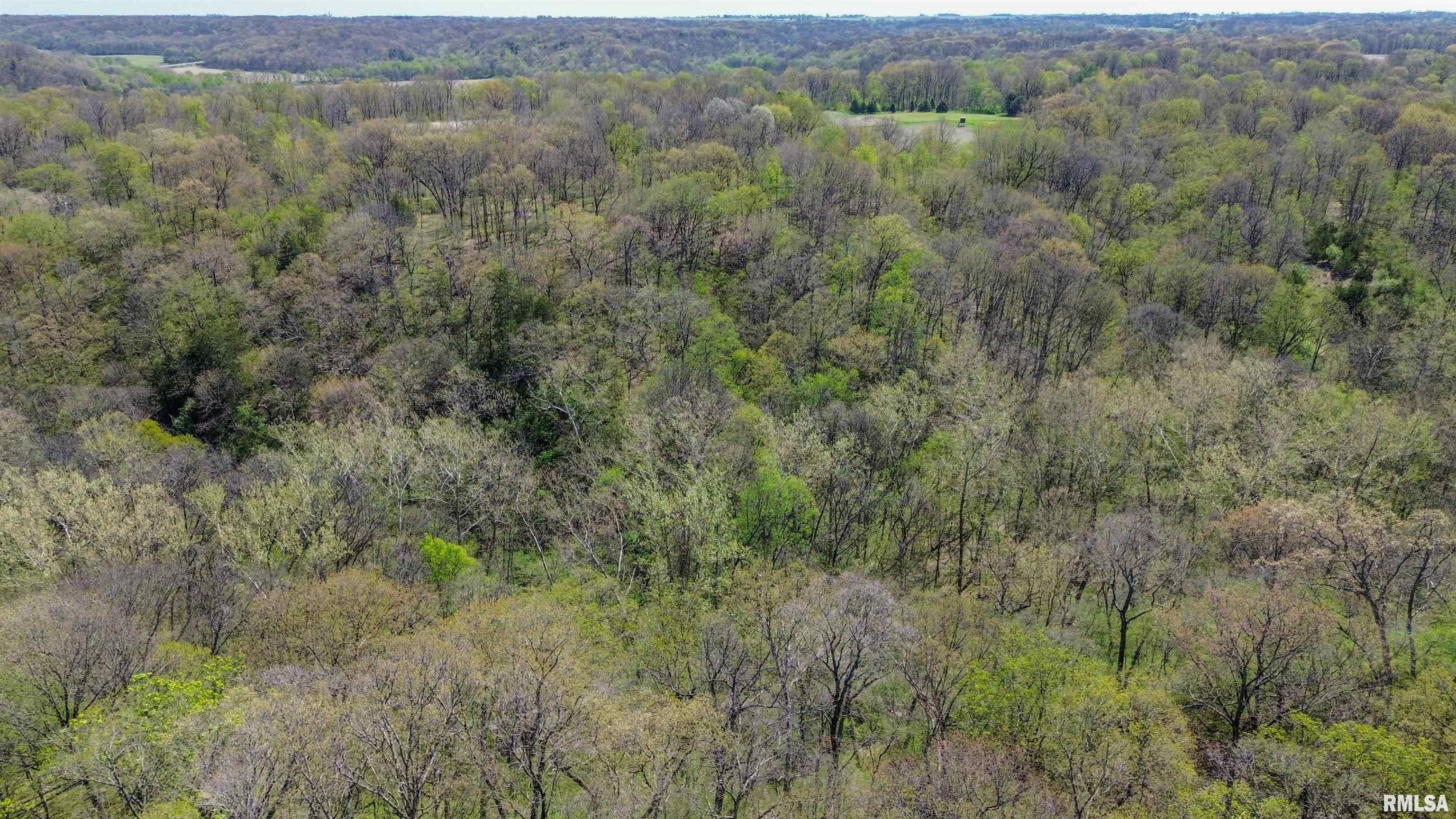 658 Coon Creek Road Metamora, IL 61548 - Photo 72 of 73
