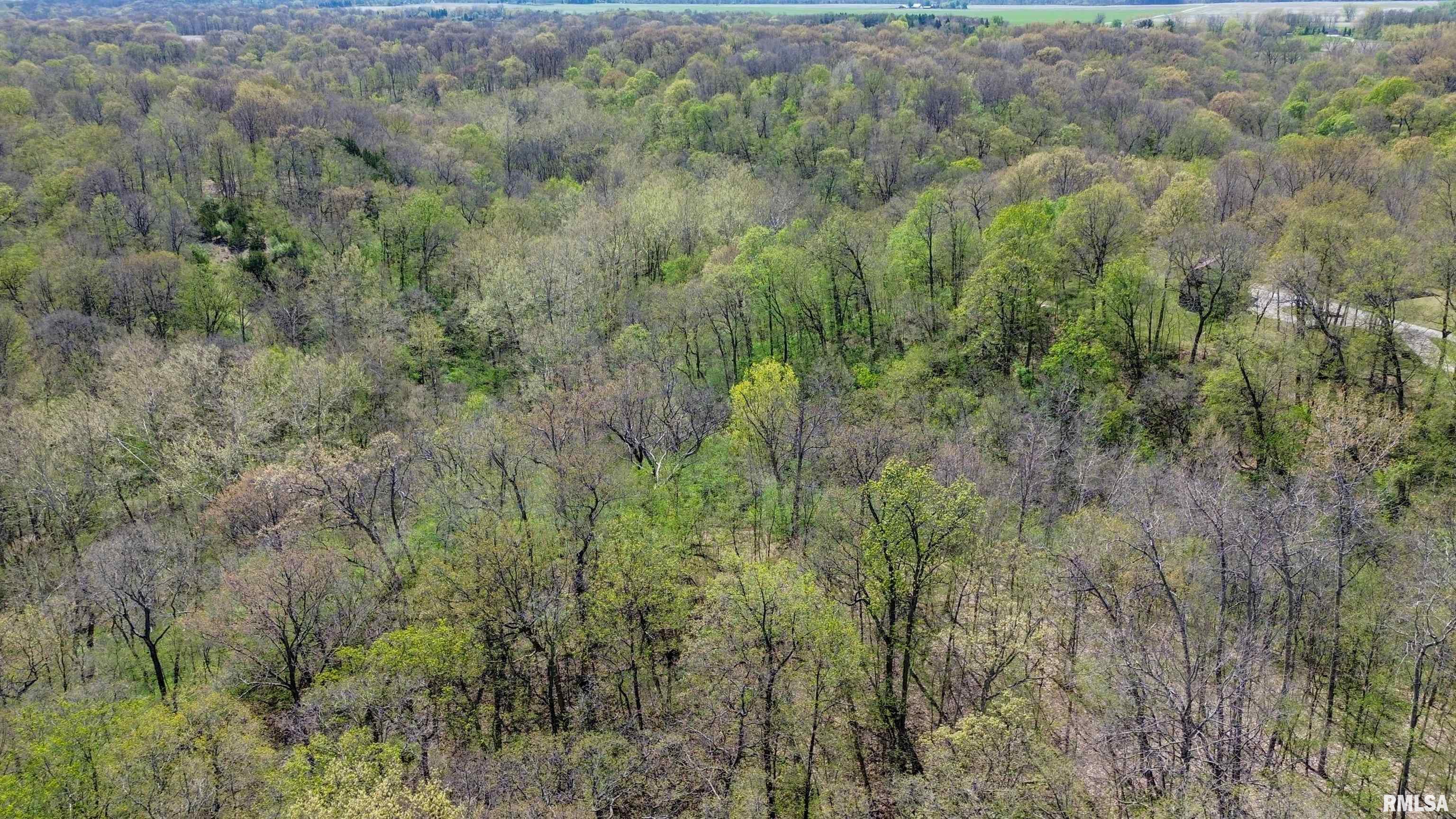 658 Coon Creek Road Metamora, IL 61548 - Photo 73 of 73