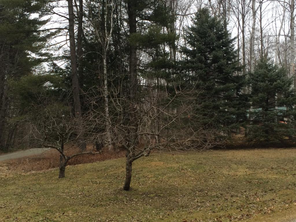 276 Valley View Road Richmond, VT 05477 - Photo 15 of 16