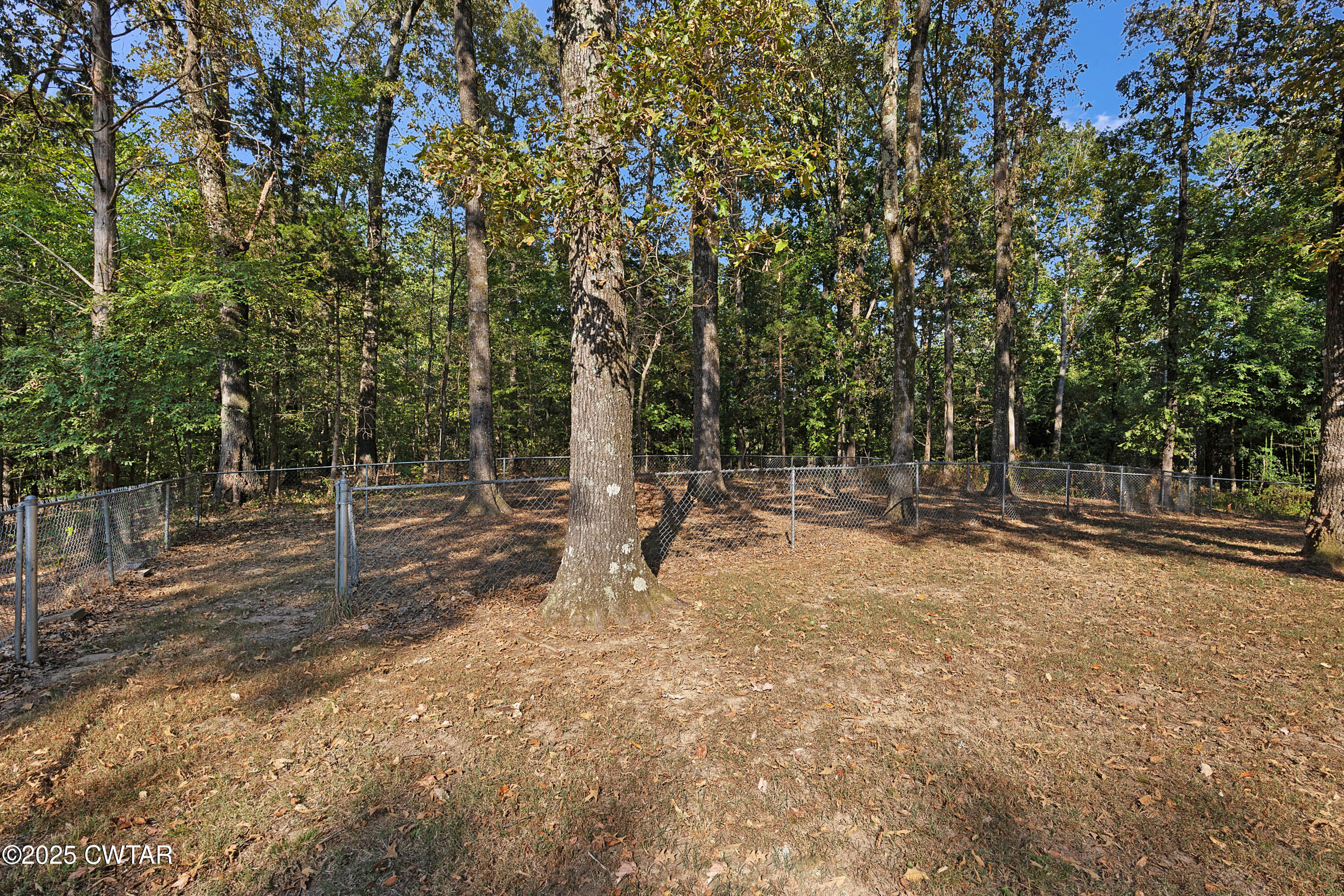 134 Chapel Hill Road Milan, TN 38358 - Photo 30 of 30 E02A5759