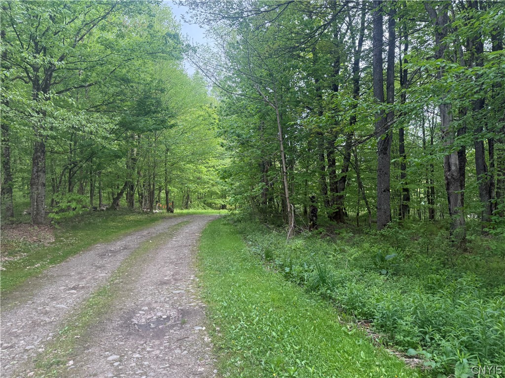 Lot #9 Lost Ridge Road, Unit 9 Camden, NY 13316 - Photo 15 of 27