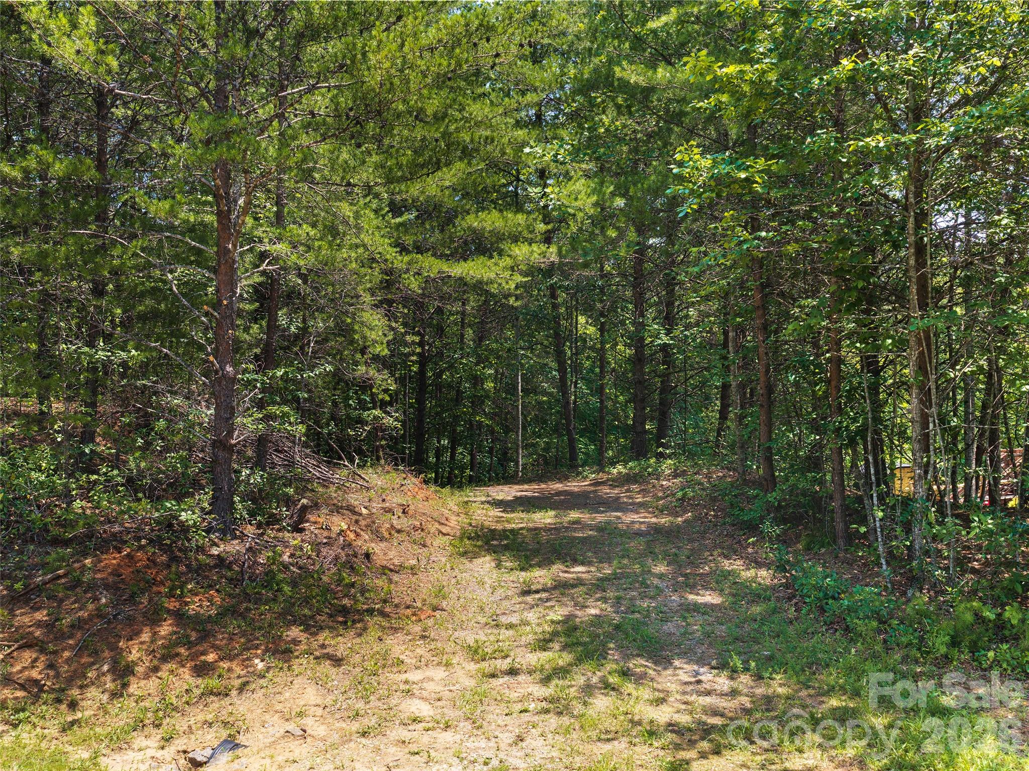 Lot 14 Parkway North Rd Mill Spring, Unit 14 Mill Spring, NC 28756 - Photo 12 of 14