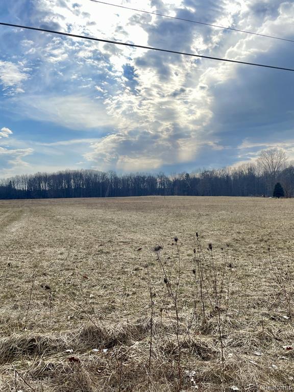7415 West Frances Road Flushing, MI 48433 - Photo 3 of 5 Gallery Image 3