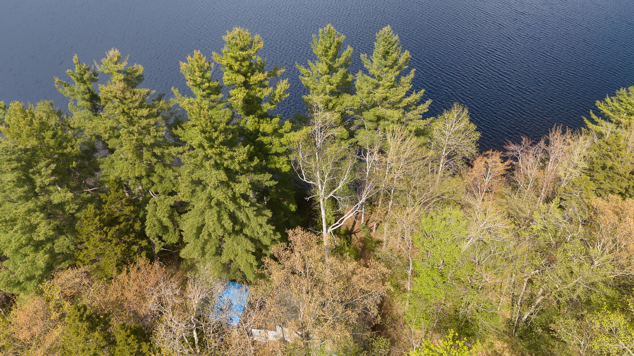 118 Camp Comfort Road Monson, ME 04464 - Photo 38 of 46 DJI_20240515152428_0048_D