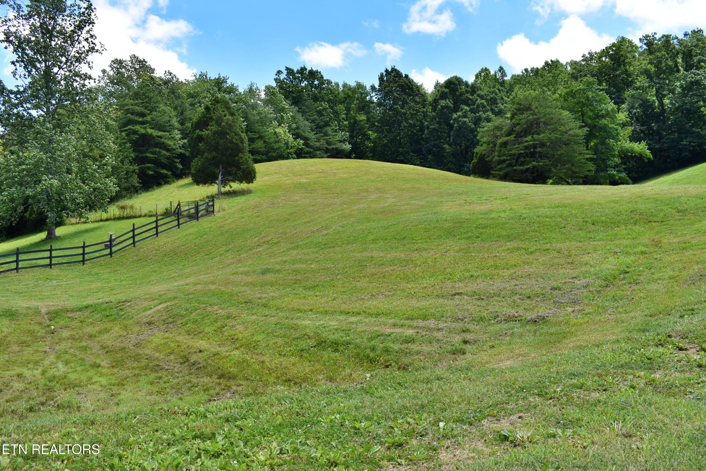 1319 Ideal Valley Road Spring City, TN 37381 - Photo 28 of 49 DSC_0763