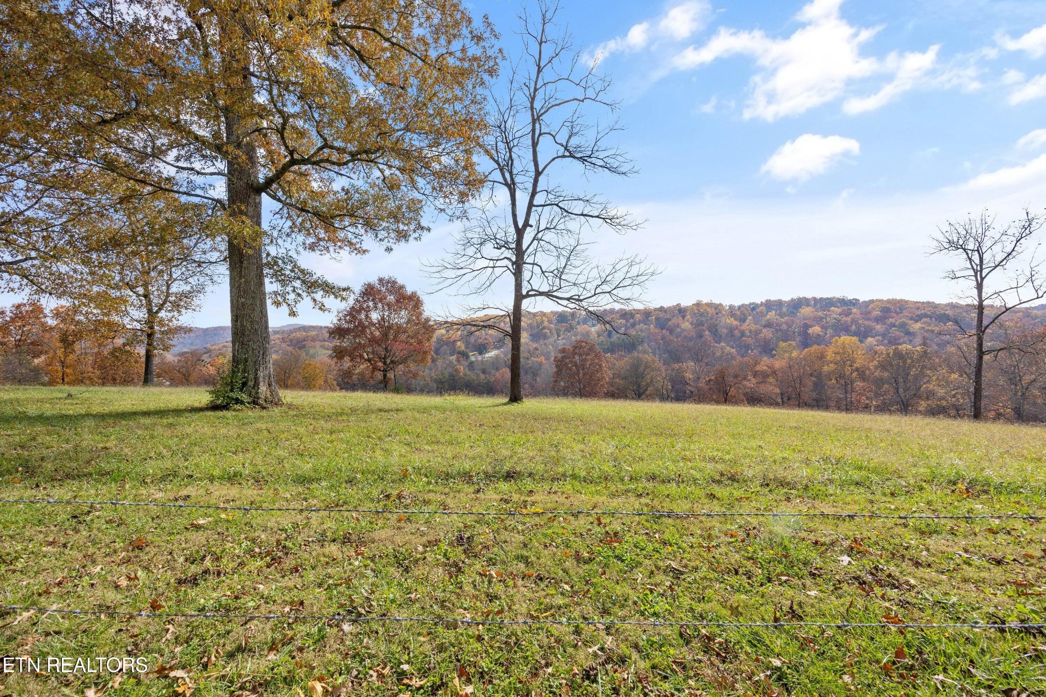 235 Davidson Hollow Road Heiskell, TN 37754 - Photo 11 of 43 a view of an outdoor space and yard