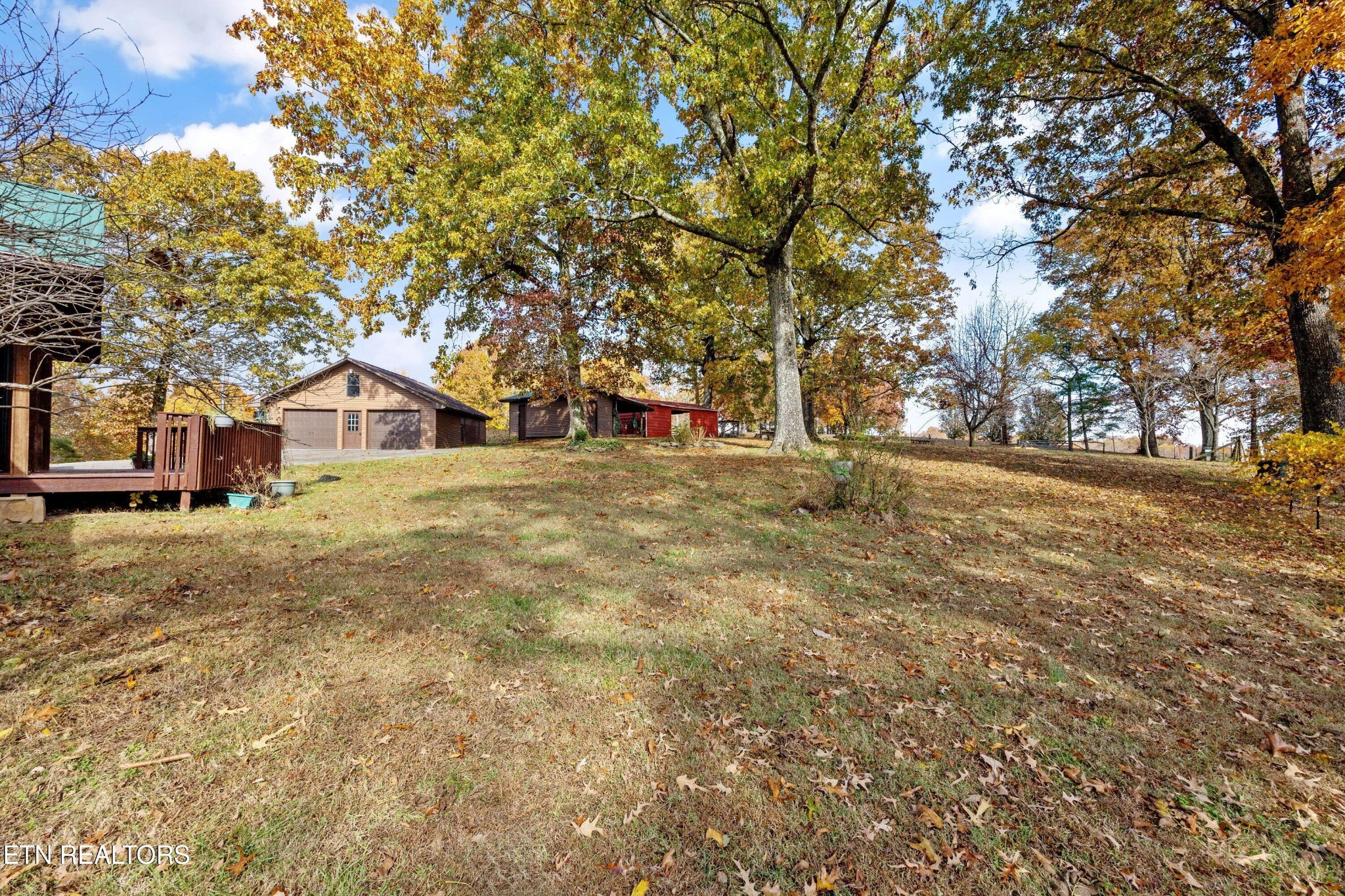 235 Davidson Hollow Road Heiskell, TN 37754 - Photo 15 of 43 a view of a outdoor space with trees