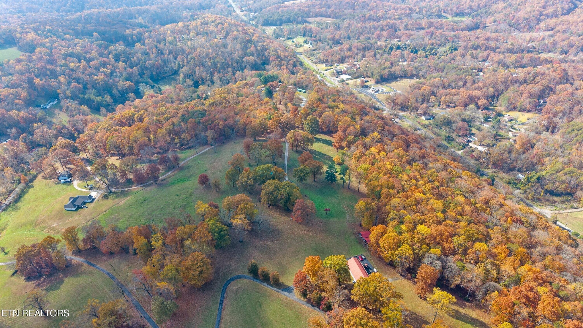 235 Davidson Hollow Road Heiskell, TN 37754 - Photo 21 of 43 a view of a flower in a garden