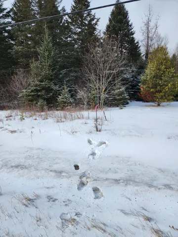 $39,900 | 2243 Bancroft Road, Bancroft, ME 04497