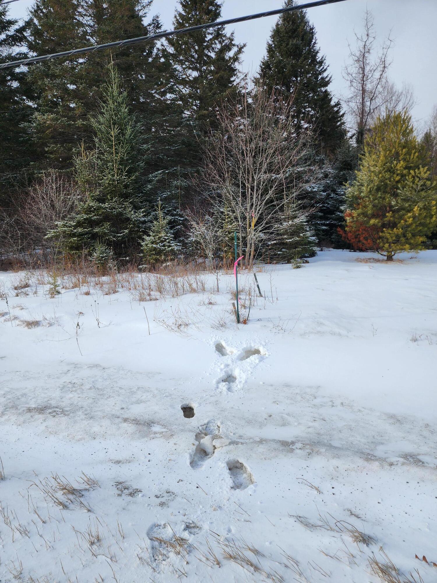 2243 Bancroft Road Bancroft, ME 04497 - Photo 12 of 12 20260116_120917