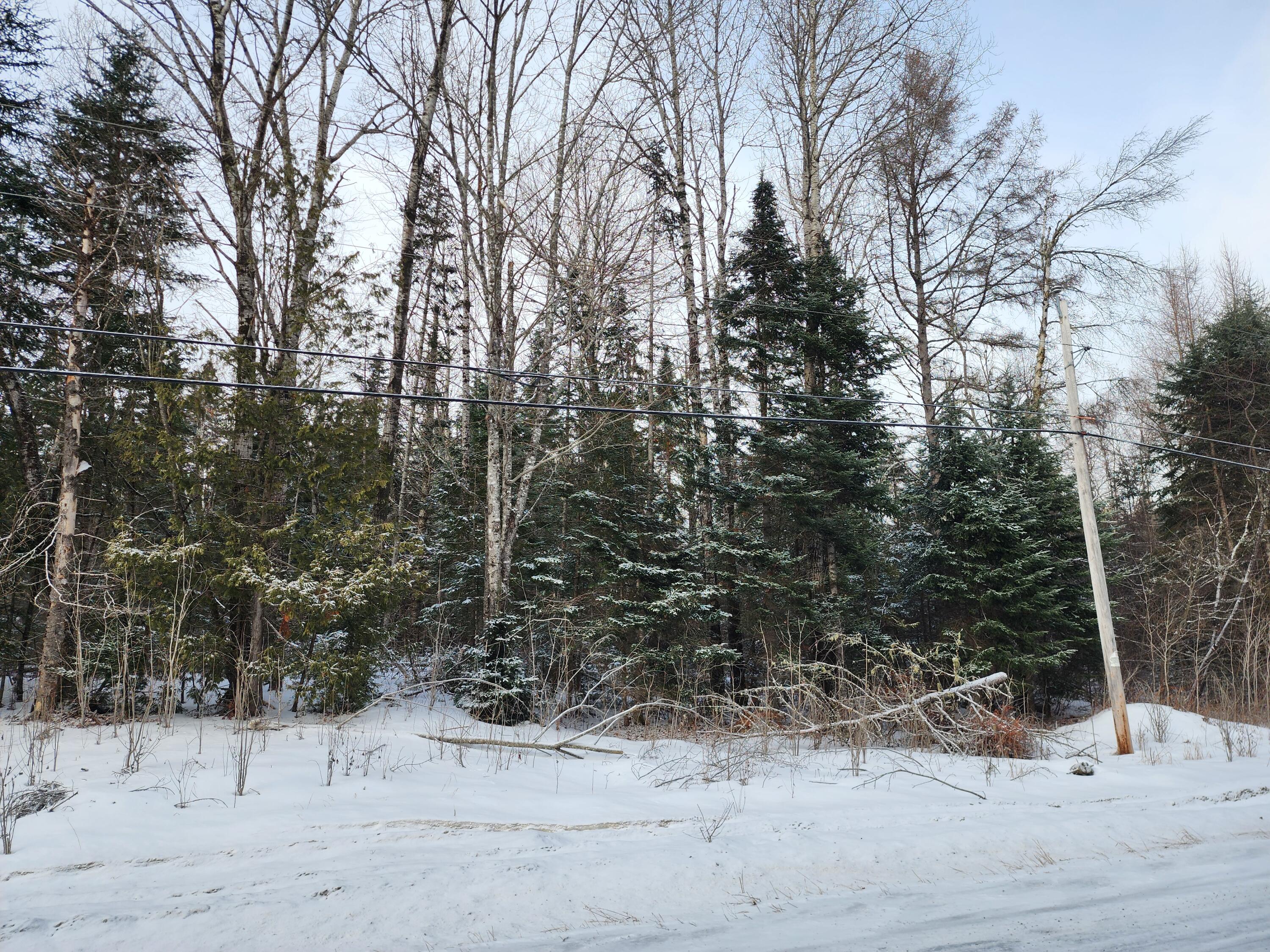 2243 Bancroft Road Bancroft, ME 04497 - Photo 9 of 12 20260116_120744