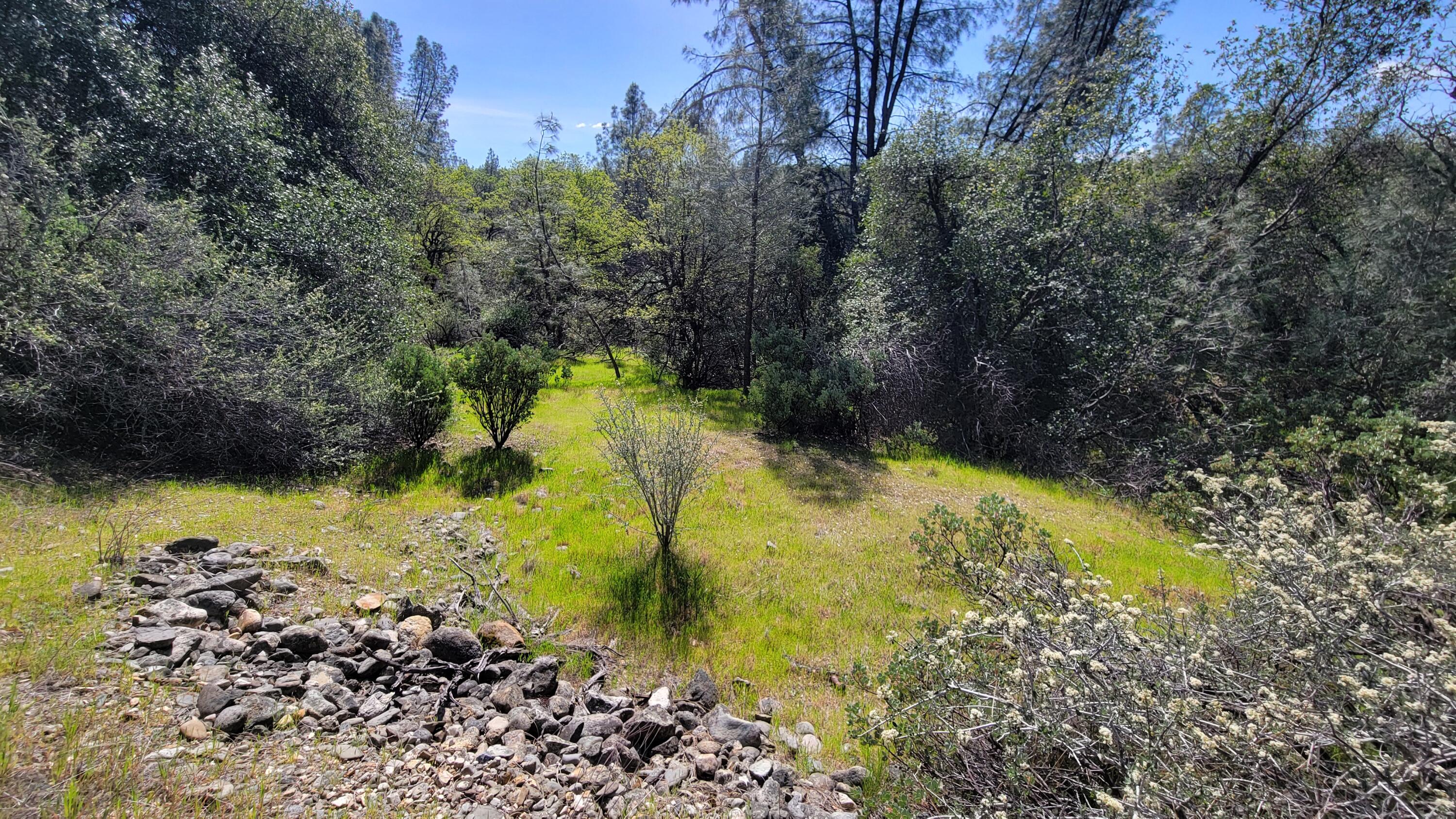 0 Placer Road Igo, CA 96047 - Photo 11 of 33 a view of a garden with large trees