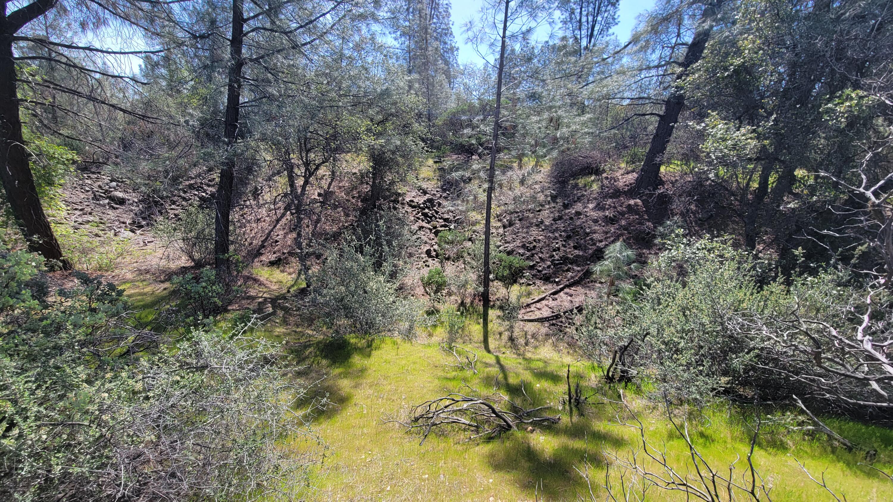 0 Placer Road Igo, CA 96047 - Photo 12 of 33 a backyard of a house with lots of trees