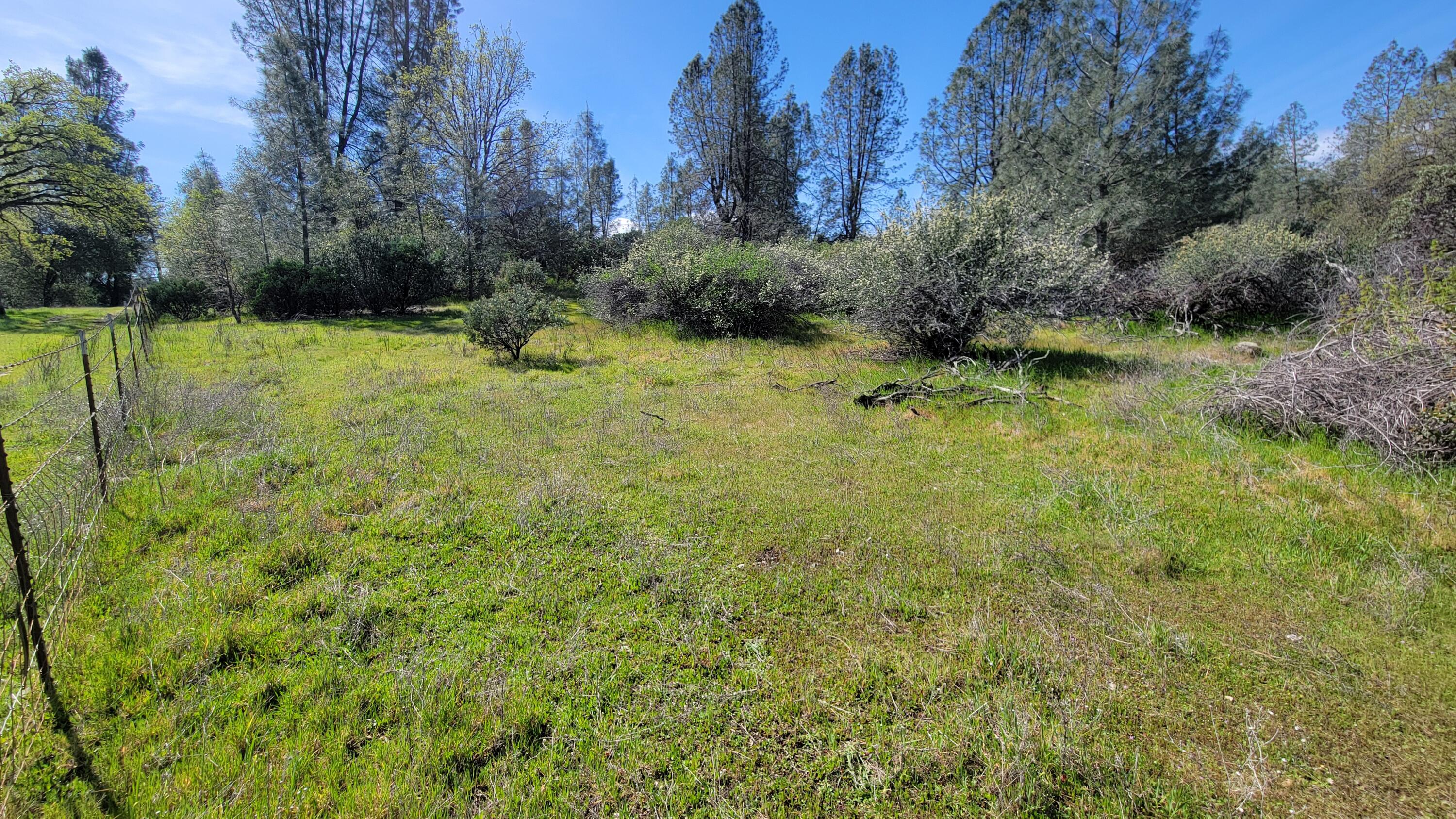0 Placer Road Igo, CA 96047 - Photo 14 of 33 a view of a garden with trees