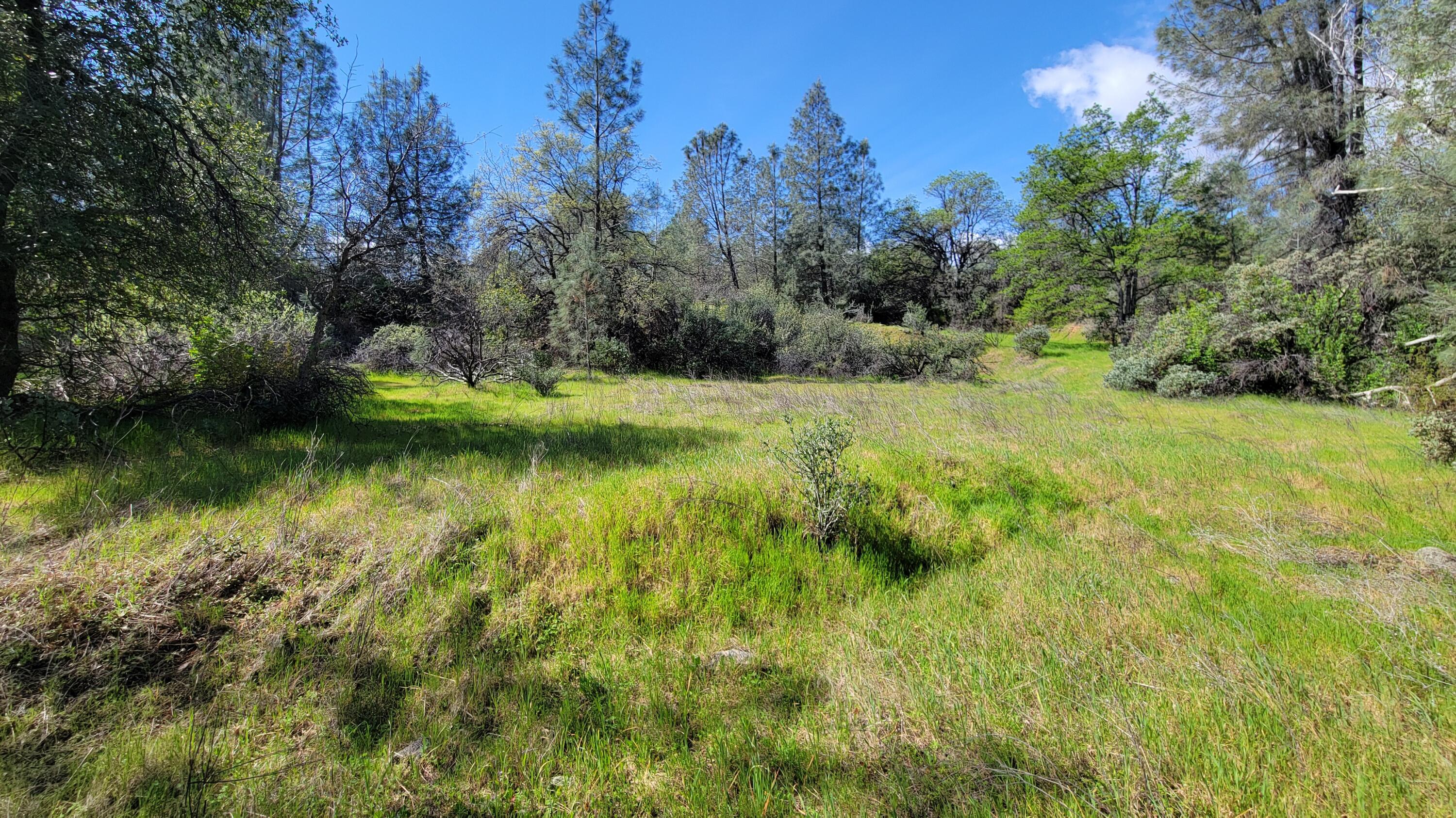 0 Placer Road Igo, CA 96047 - Photo 15 of 33 a view of yard with green space