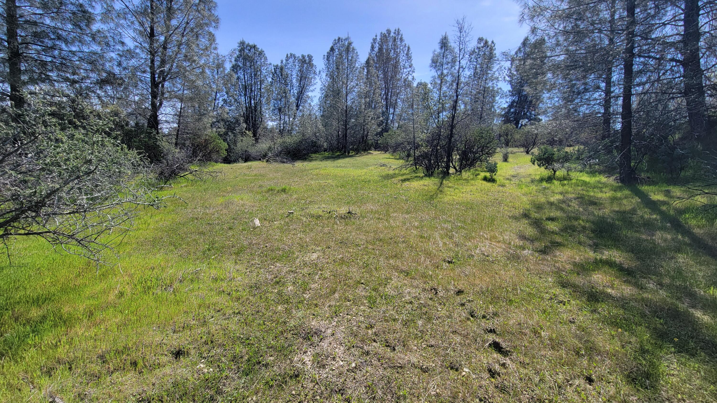 0 Placer Road Igo, CA 96047 - Photo 17 of 33 a backyard of a house with trees in the background