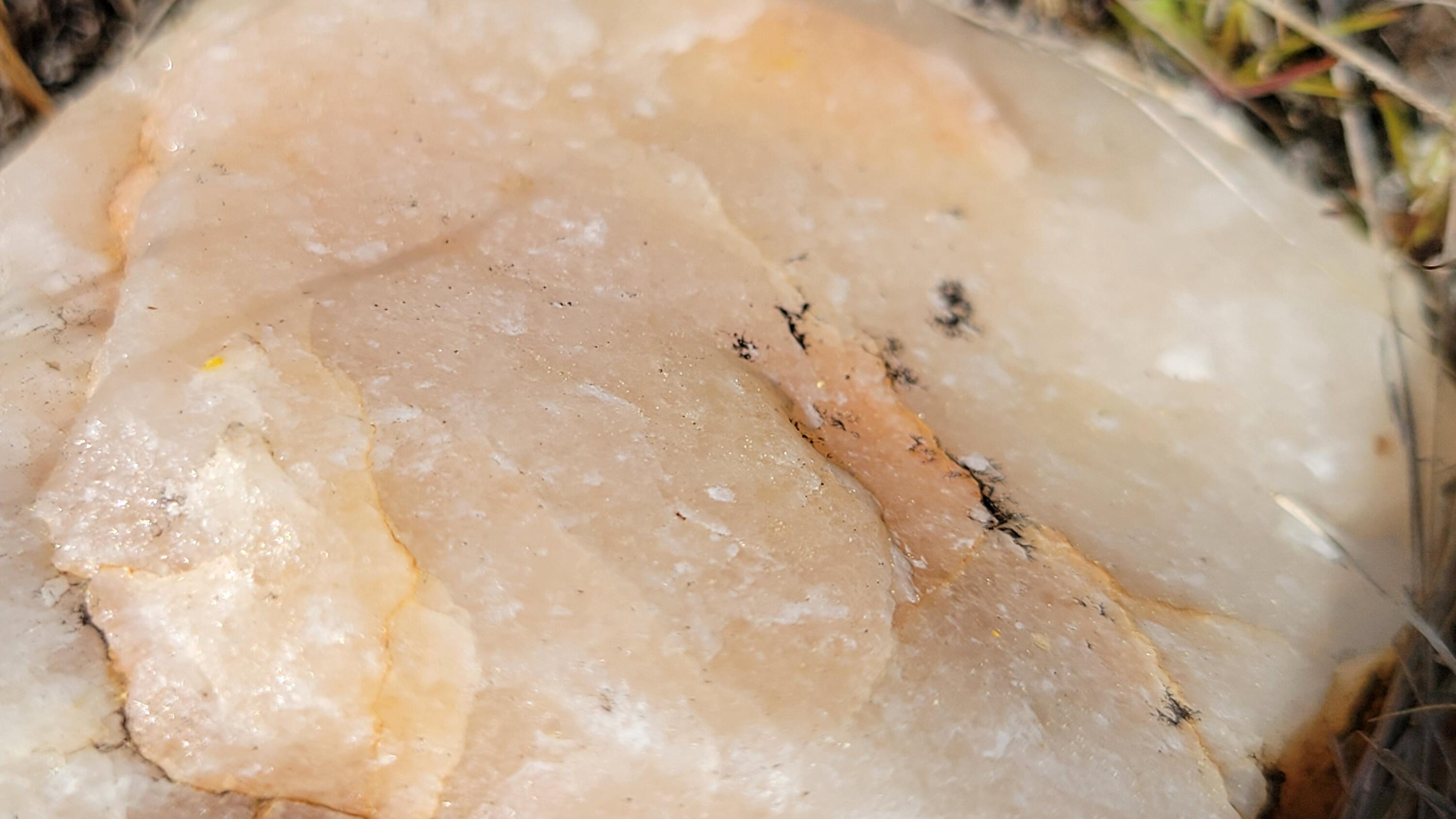 0 Placer Road Igo, CA 96047 - Photo 18 of 33 a view of shower and yard