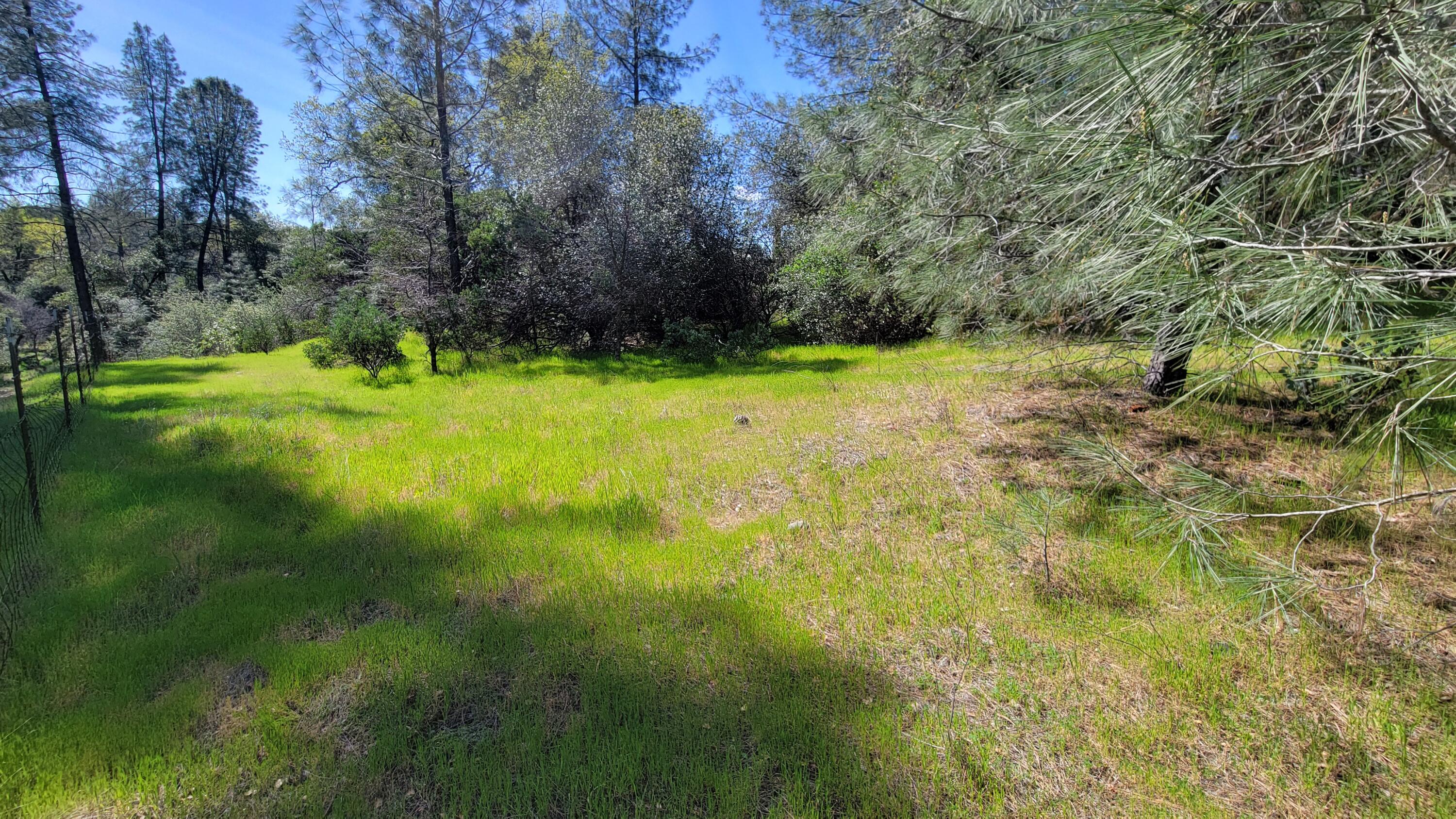 0 Placer Road Igo, CA 96047 - Photo 19 of 33 a view of outdoor space and yard