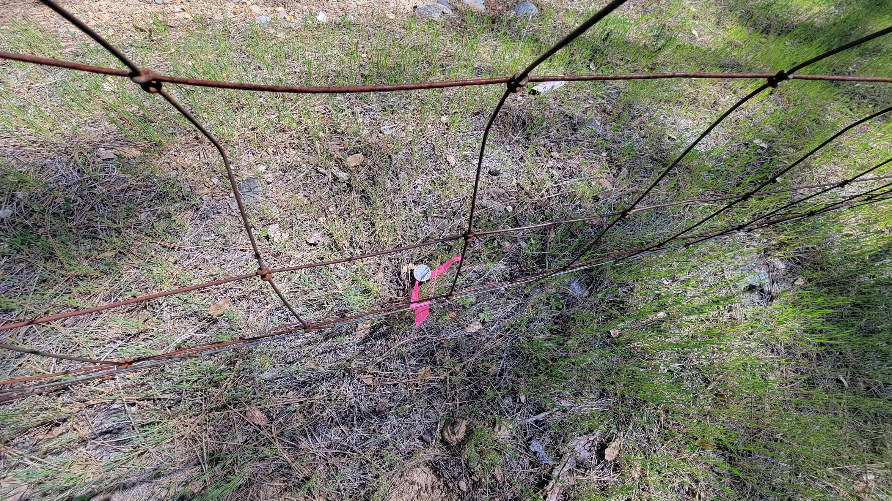 0 Placer Road Igo, CA 96047 - Photo 20 of 33 a view of a yard