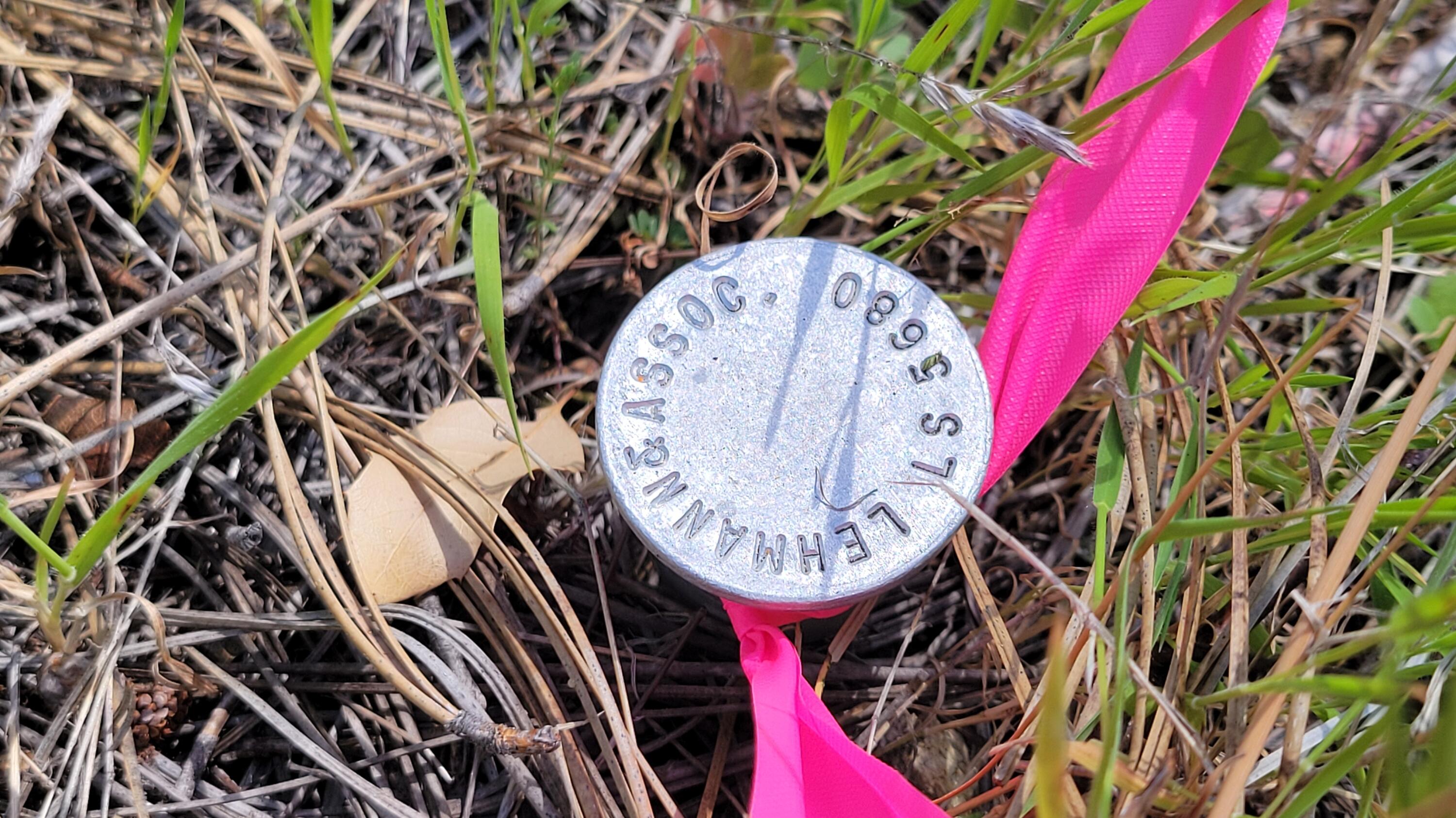 0 Placer Road Igo, CA 96047 - Photo 21 of 33 a picture of a wall with a potted plant and a sign on it