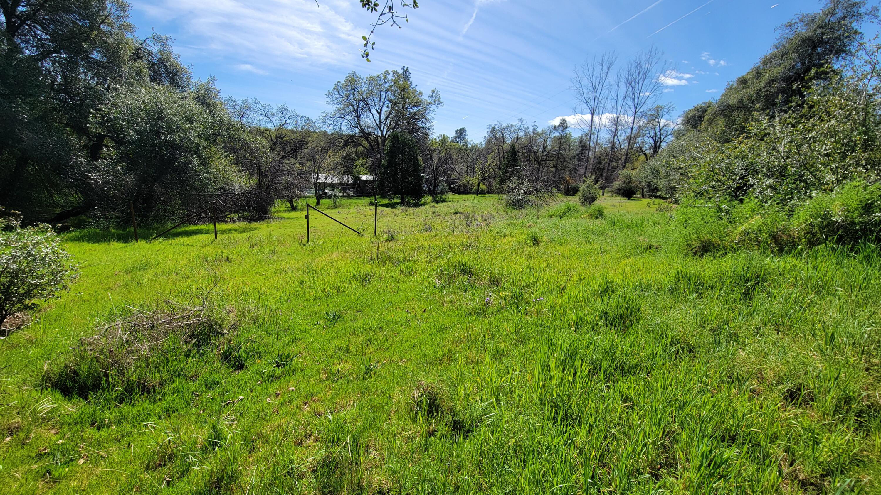 0 Placer Road Igo, CA 96047 - Photo 24 of 33 a view of a field with a tree in a yard