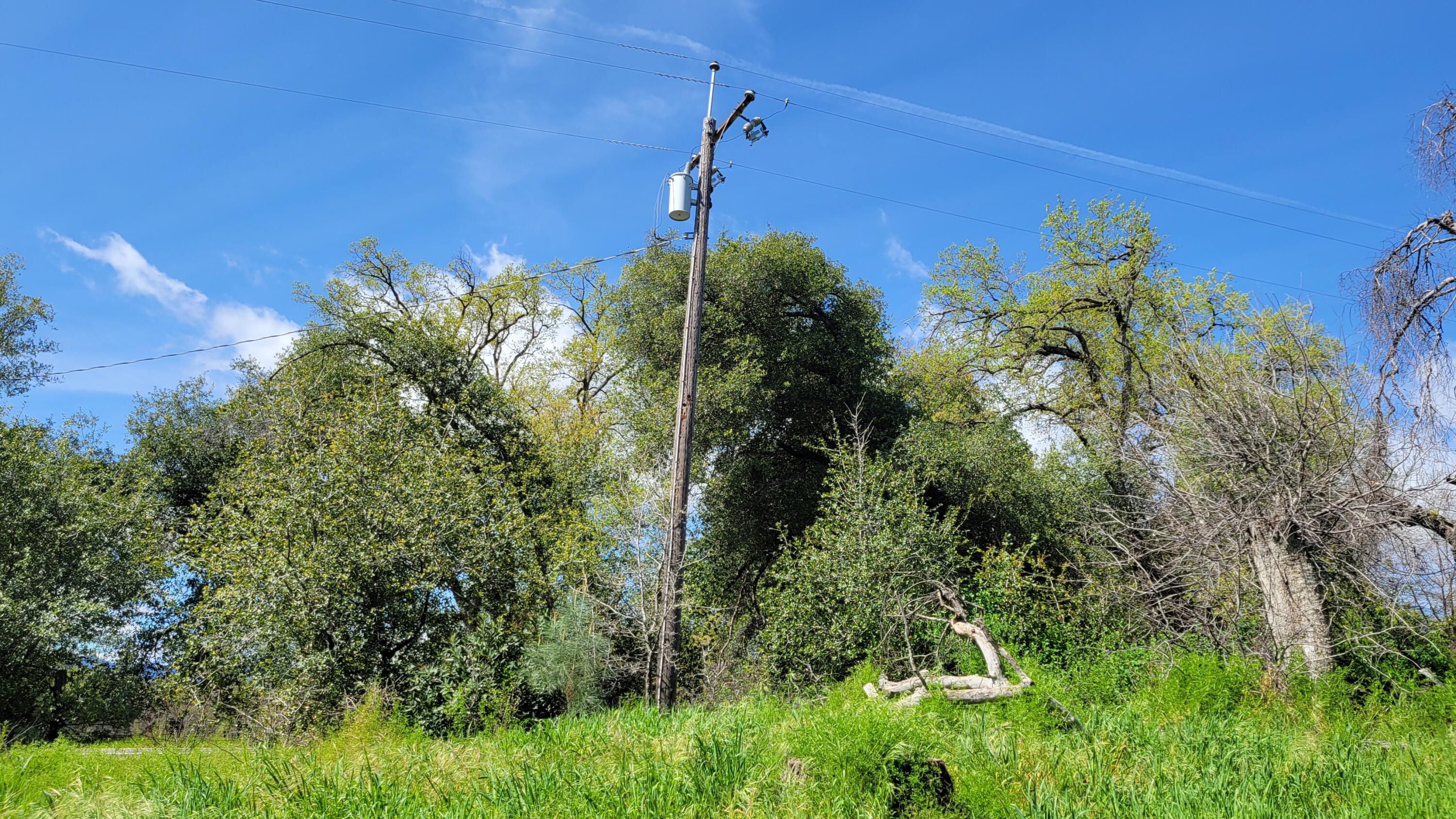 0 Placer Road Igo, CA 96047 - Photo 25 of 33 a plant that is in front of a building