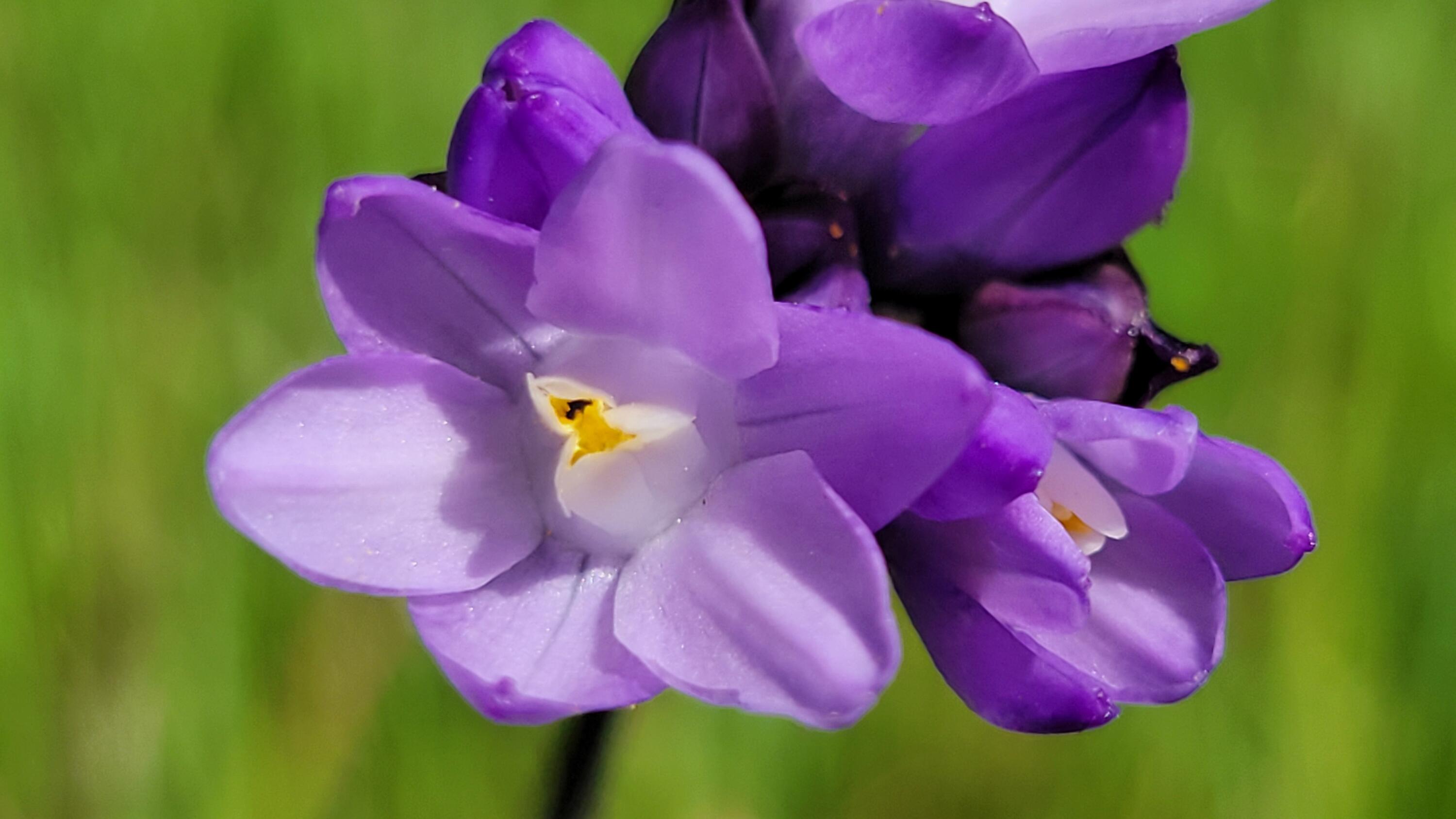 0 Placer Road Igo, CA 96047 - Photo 26 of 33 a view of a wooden floor