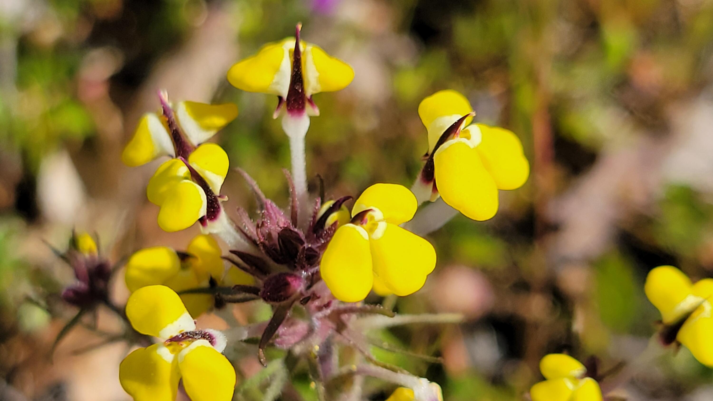 0 Placer Road Igo, CA 96047 - Photo 27 of 33 a bathroom with a tub and mirror