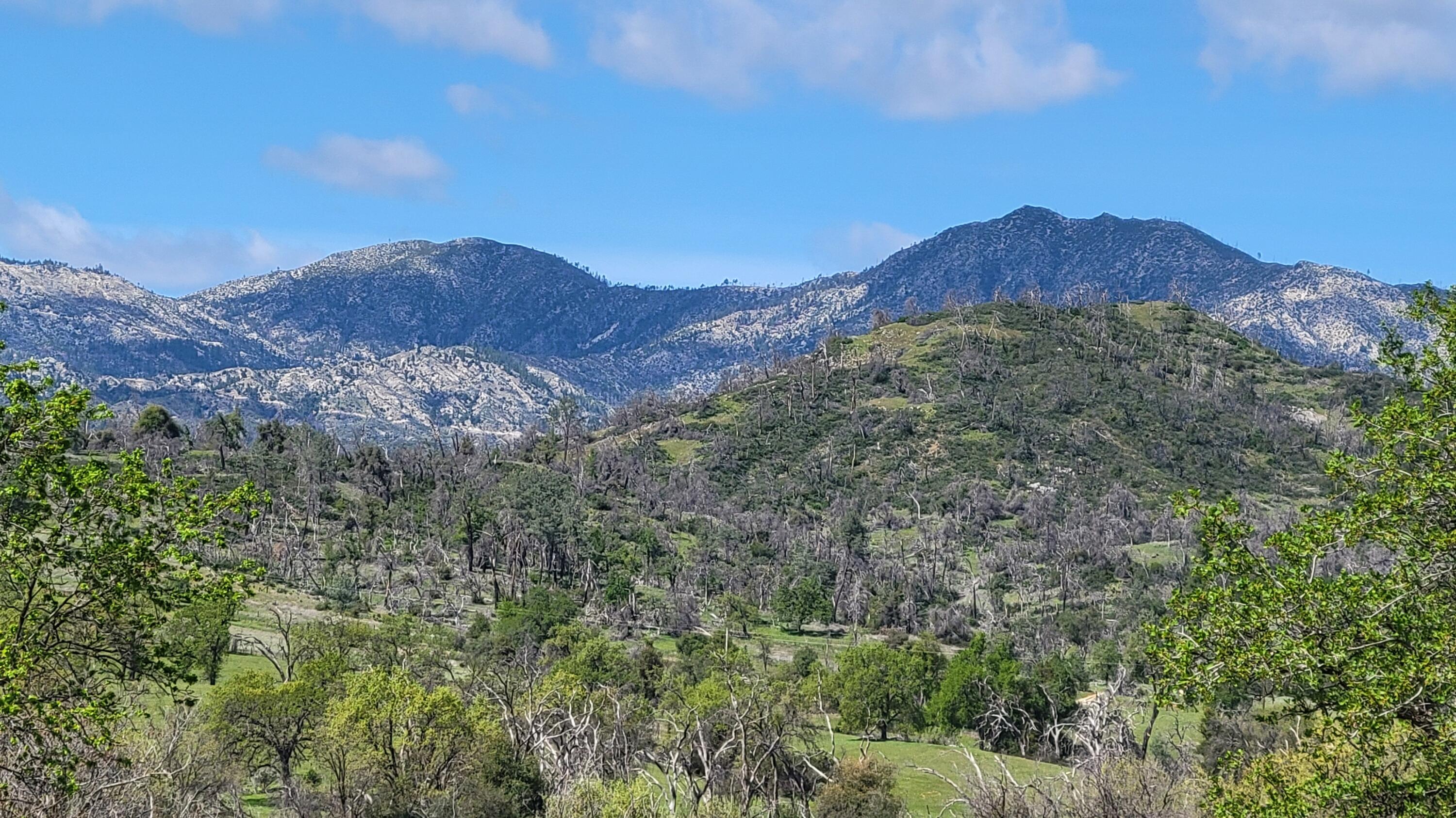 0 Placer Road Igo, CA 96047 - Photo 29 of 33 a view of a lush green hillside and a mountain view