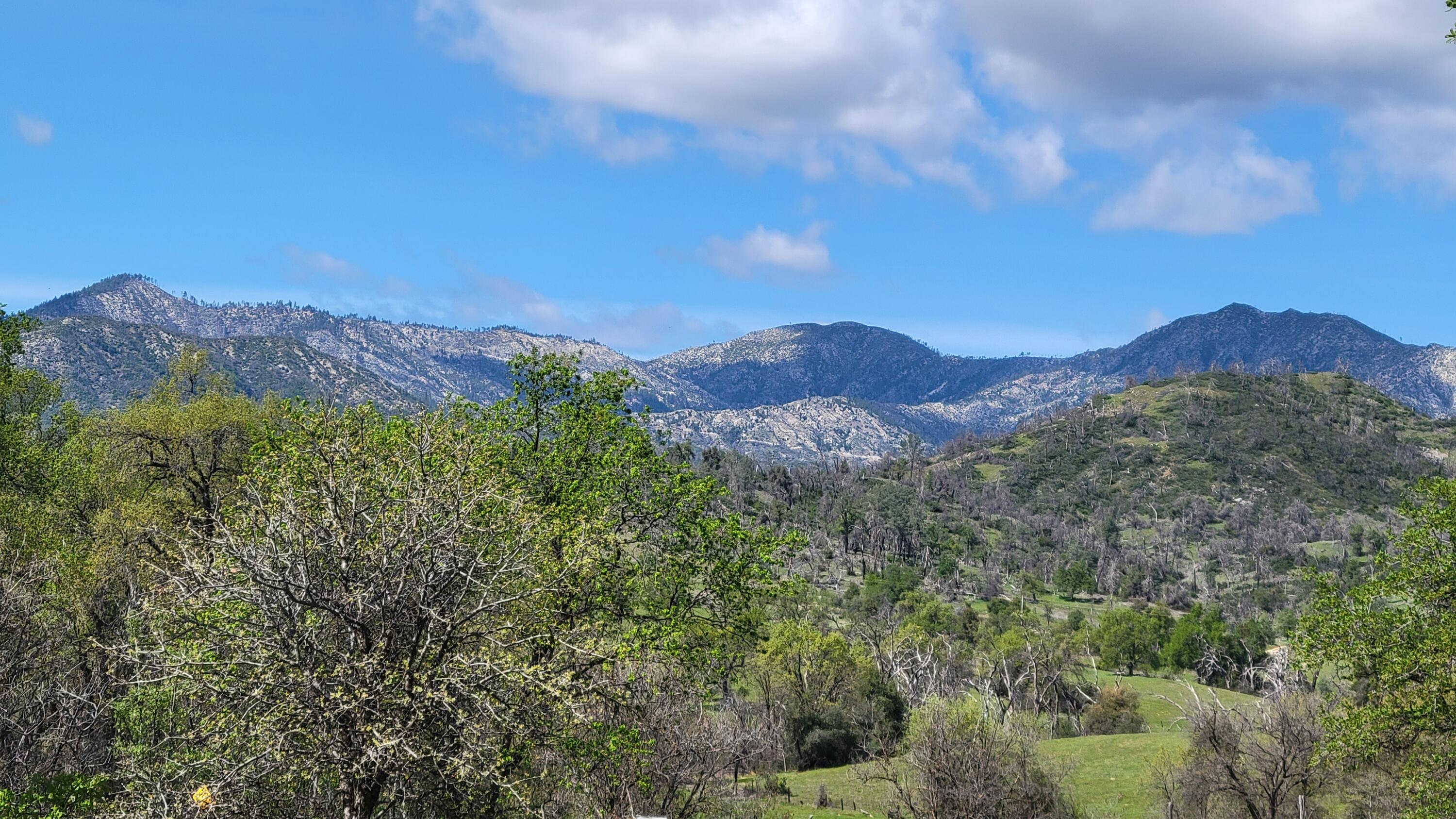 0 Placer Road Igo, CA 96047 - Photo 30 of 33 a view of a lush green hillside and a houses