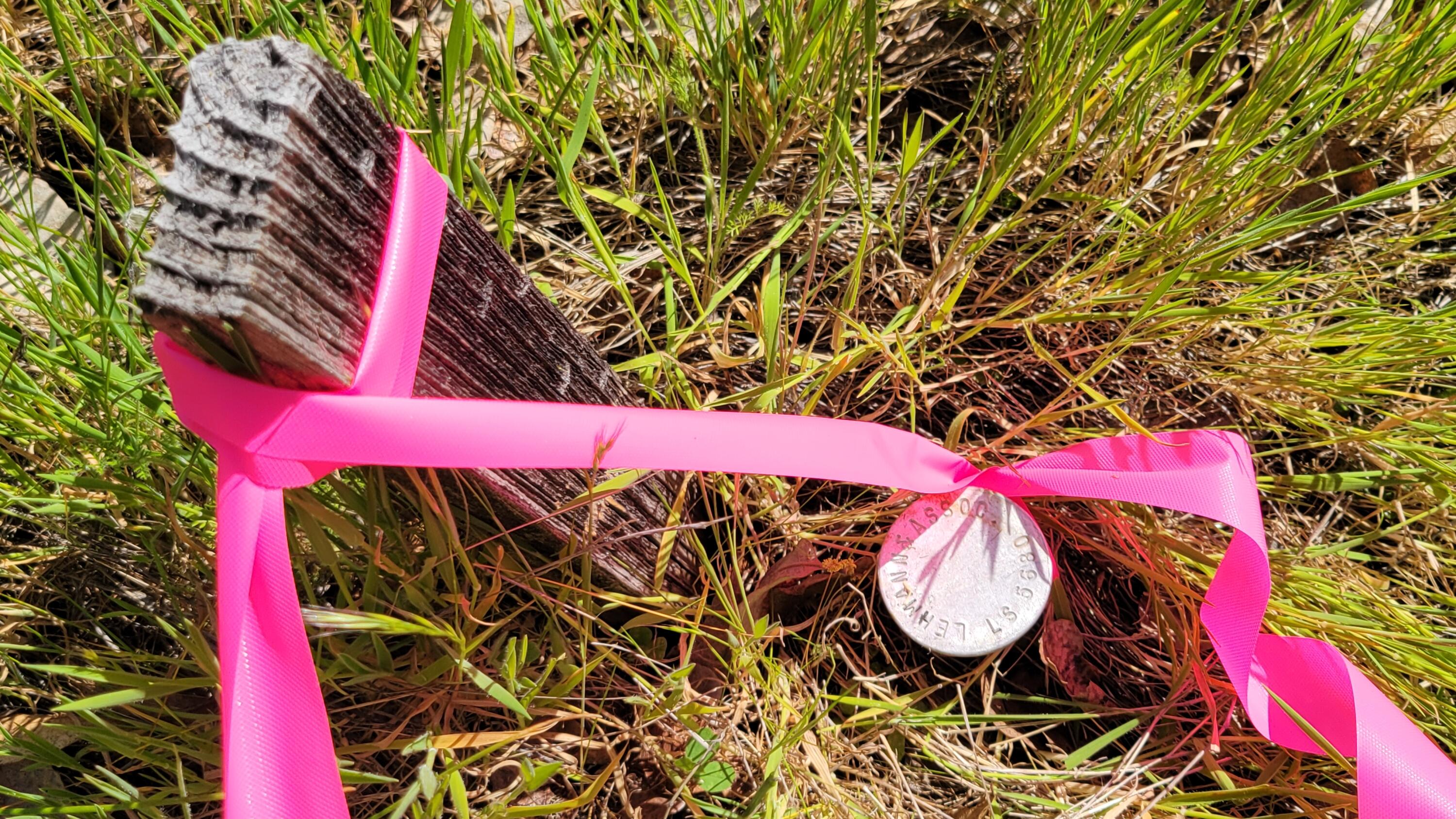 0 Placer Road Igo, CA 96047 - Photo 3 of 33 a view of a wooden door with a tree