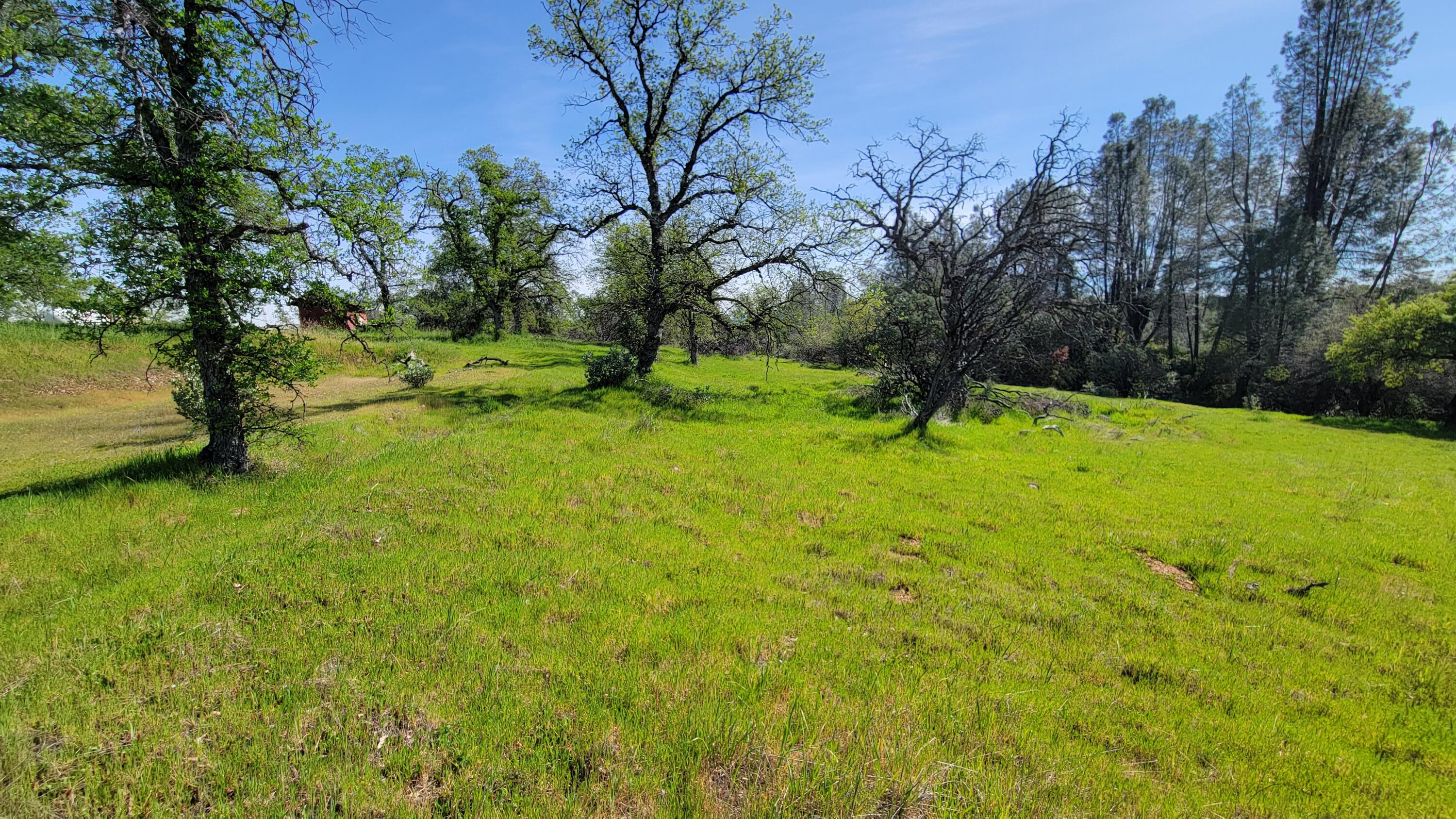 0 Placer Road Igo, CA 96047 - Photo 4 of 33 a backyard of a house with yard and trampoline