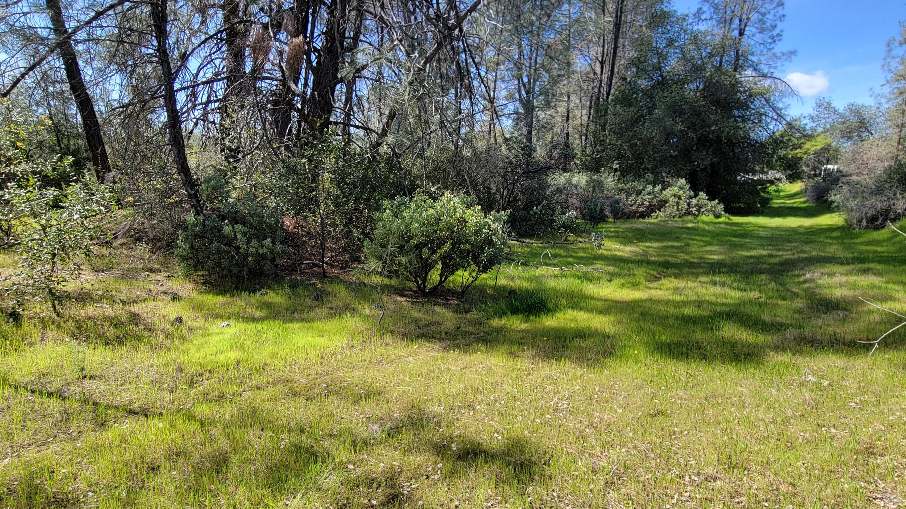 0 Placer Road Igo, CA 96047 - Photo 7 of 33 a view of yard