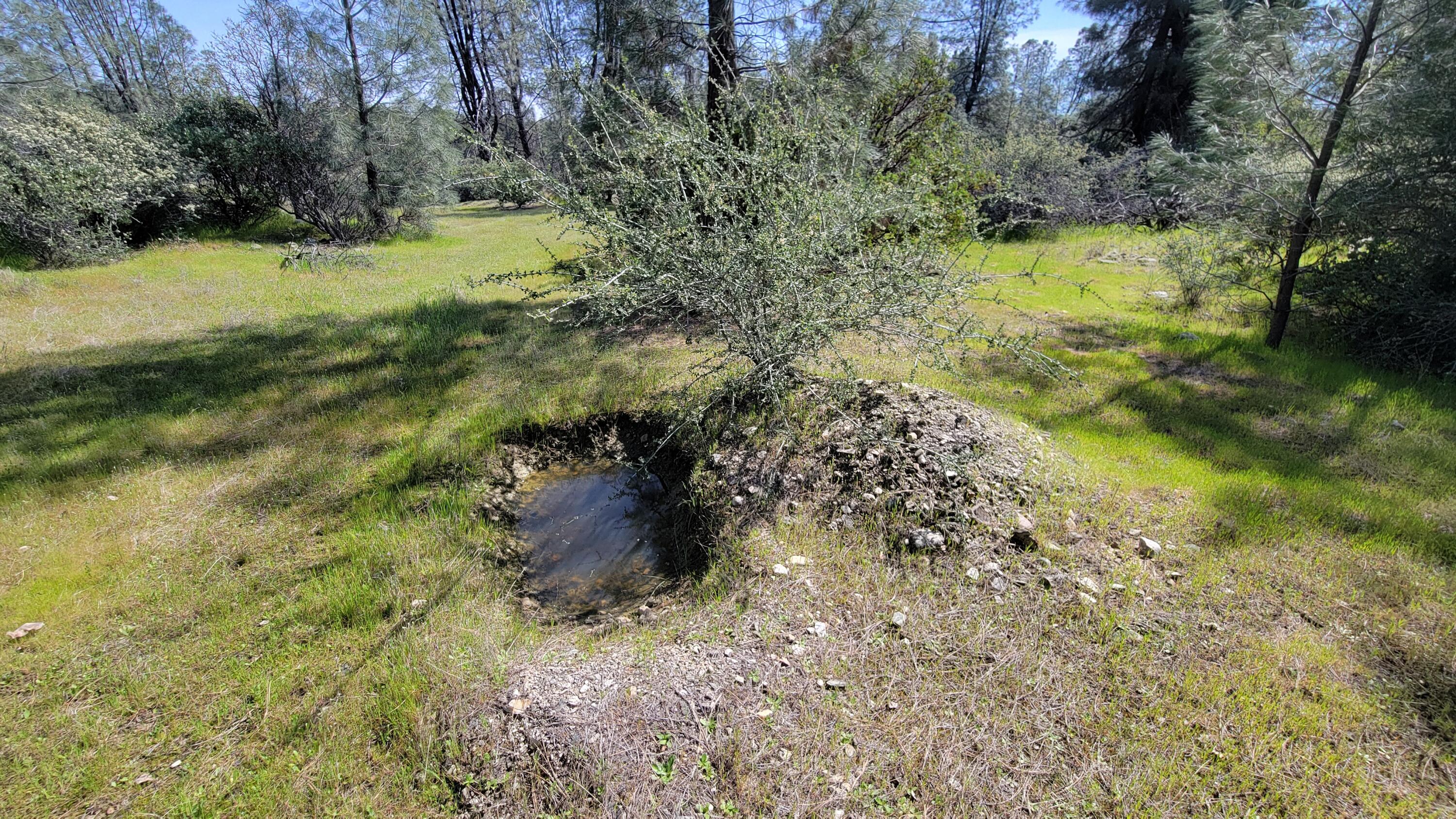 0 Placer Road Igo, CA 96047 - Photo 8 of 33 a view of a yard with a tree