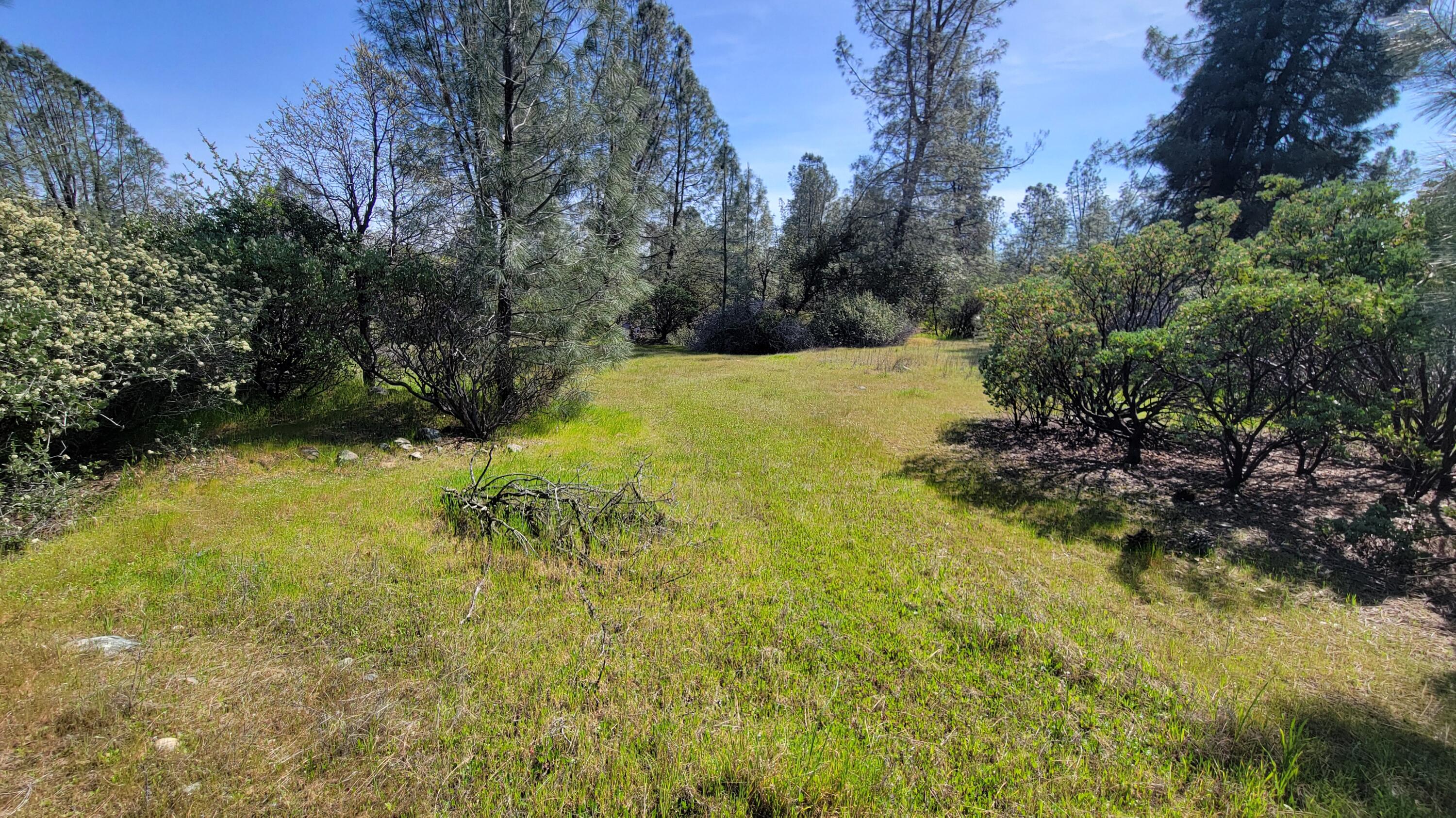 0 Placer Road Igo, CA 96047 - Photo 9 of 33 a view of a yard with large trees