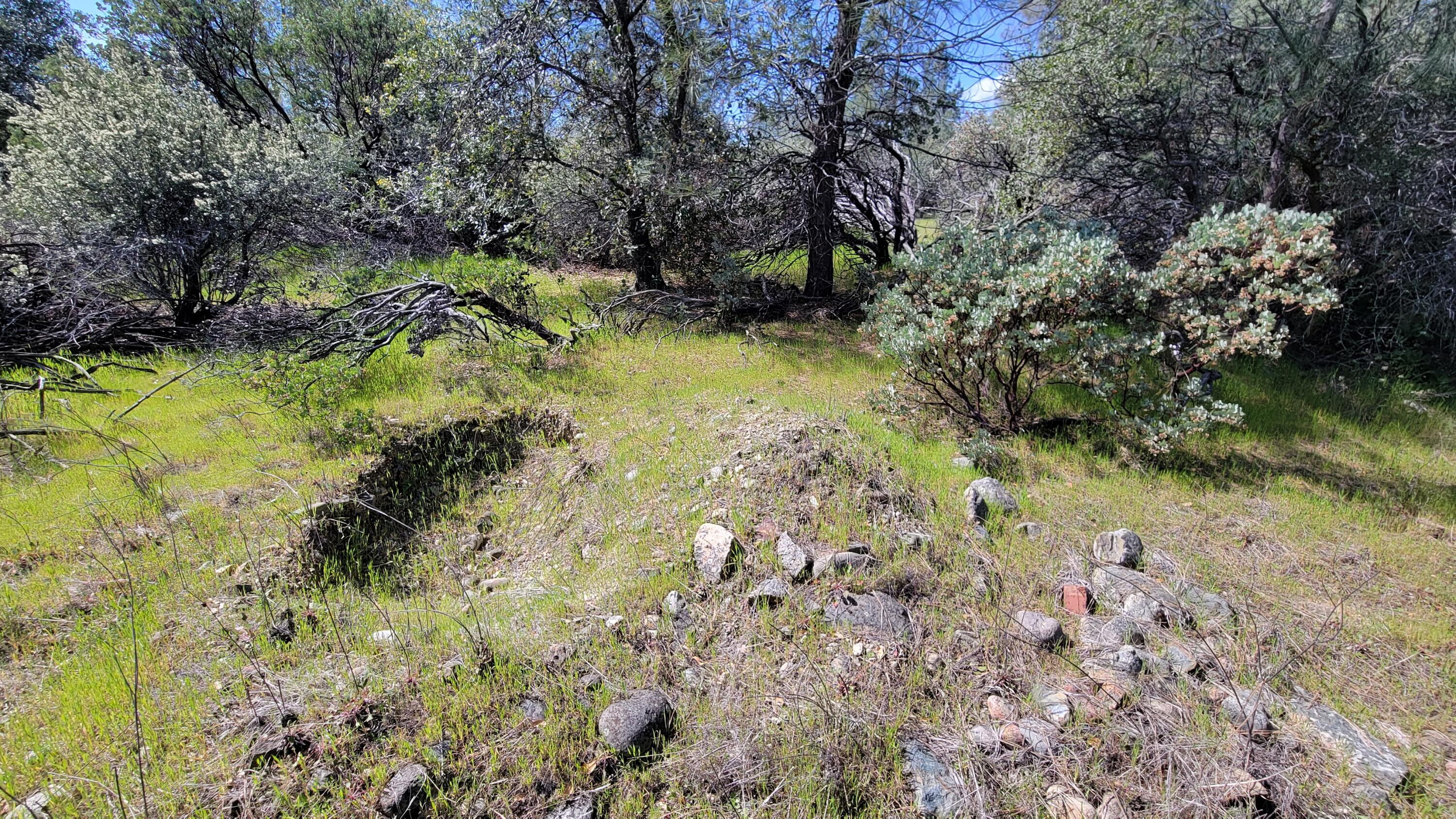 0 Placer Road Igo, CA 96047 - Photo 10 of 33 a view of yard