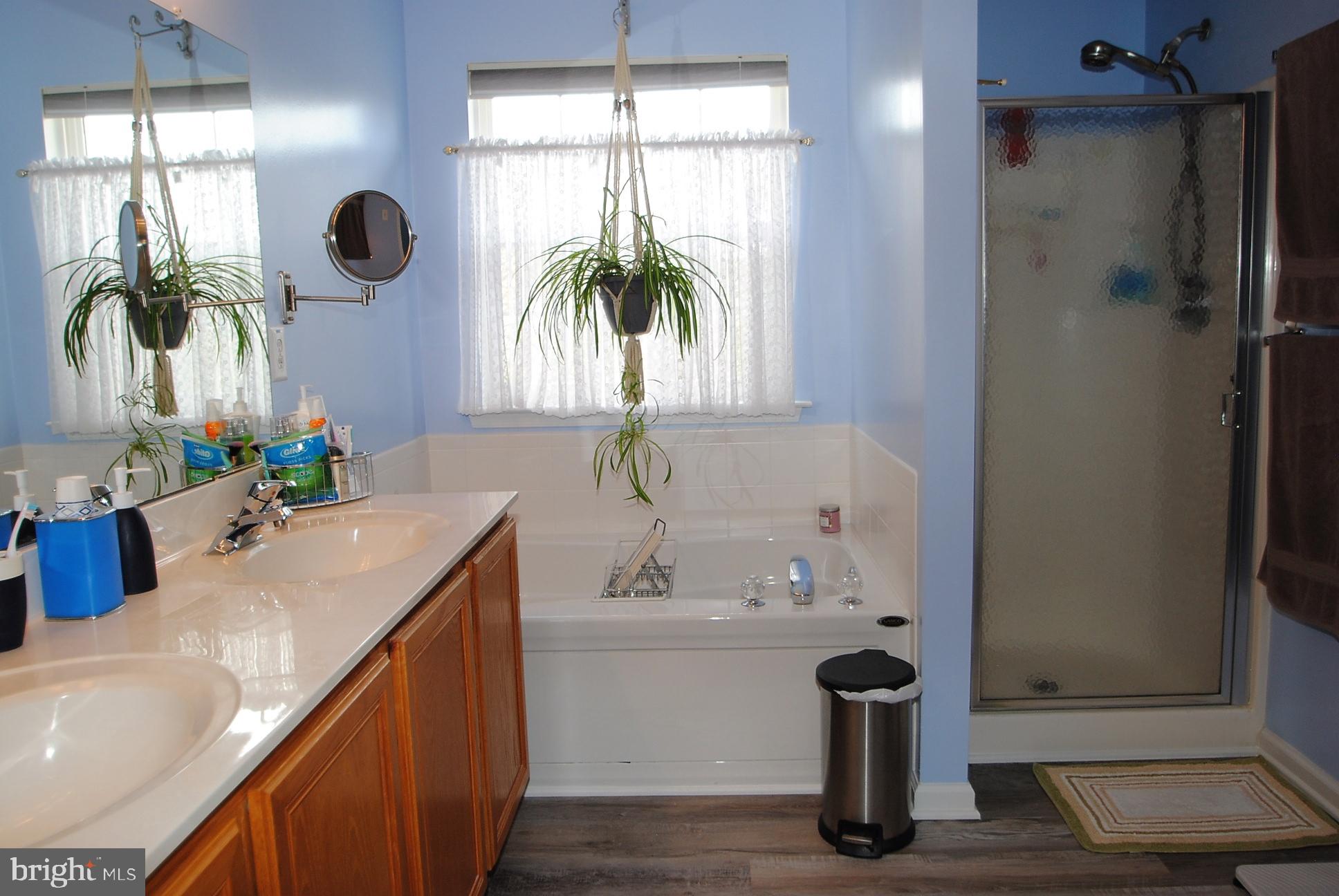21 Doolin Bay Drive Bear, DE 19701 - Photo 19 of 82 Master bath with soaking tub