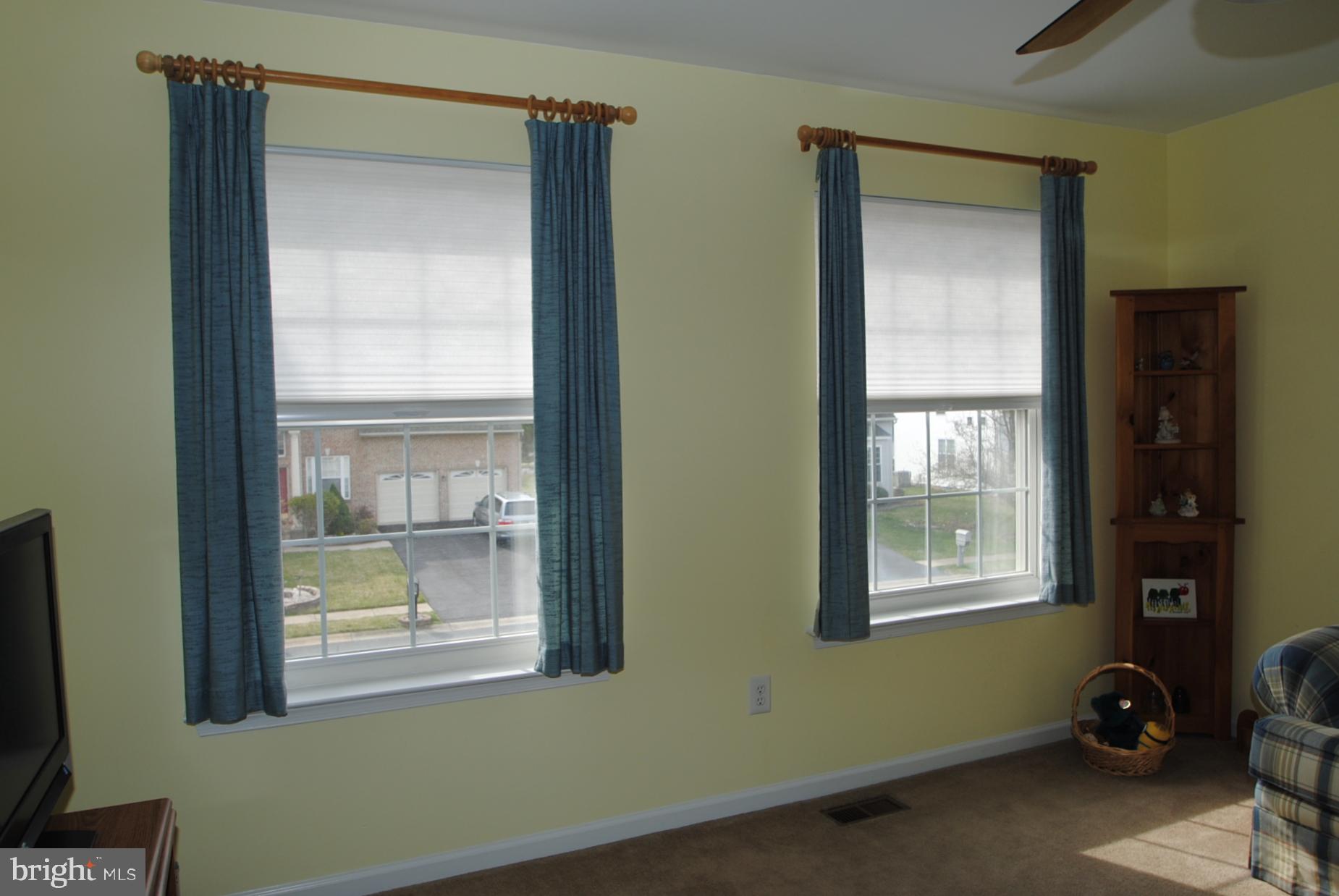 21 Doolin Bay Drive Bear, DE 19701 - Photo 20 of 82 Master view with 2 windows