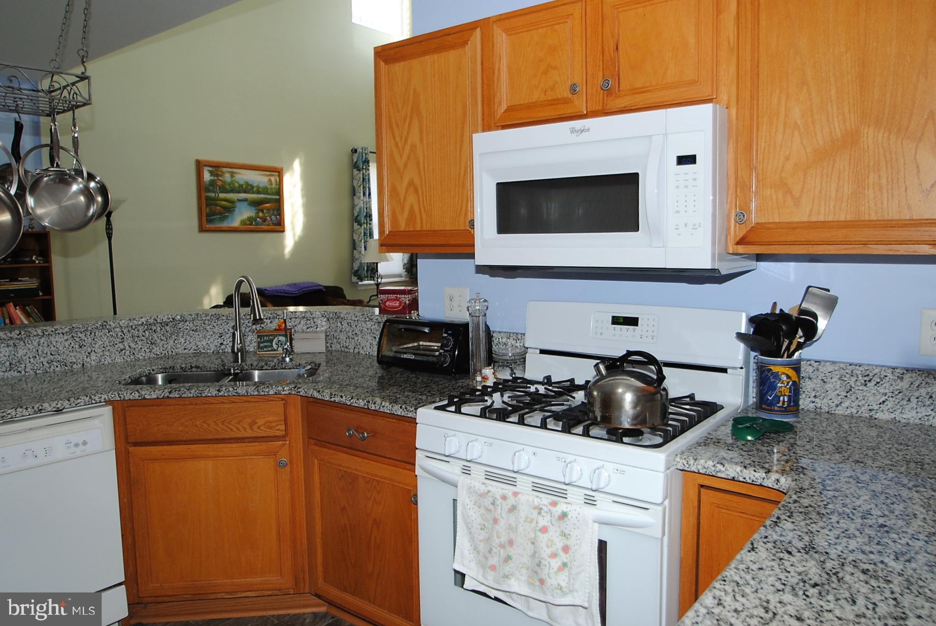 21 Doolin Bay Drive Bear, DE 19701 - Photo 53 of 82 Kitchen